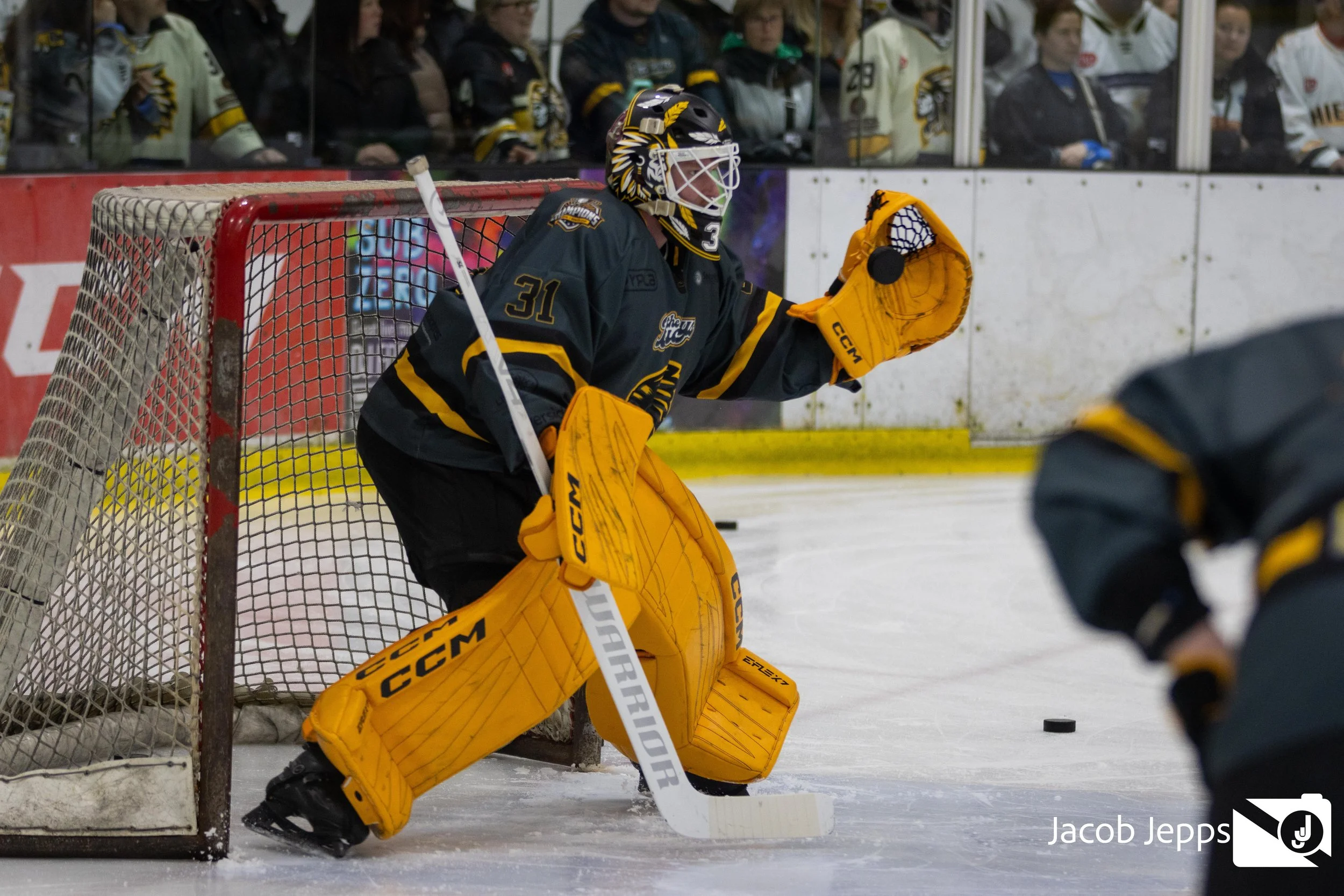 Chiefs V jets -150.jpg