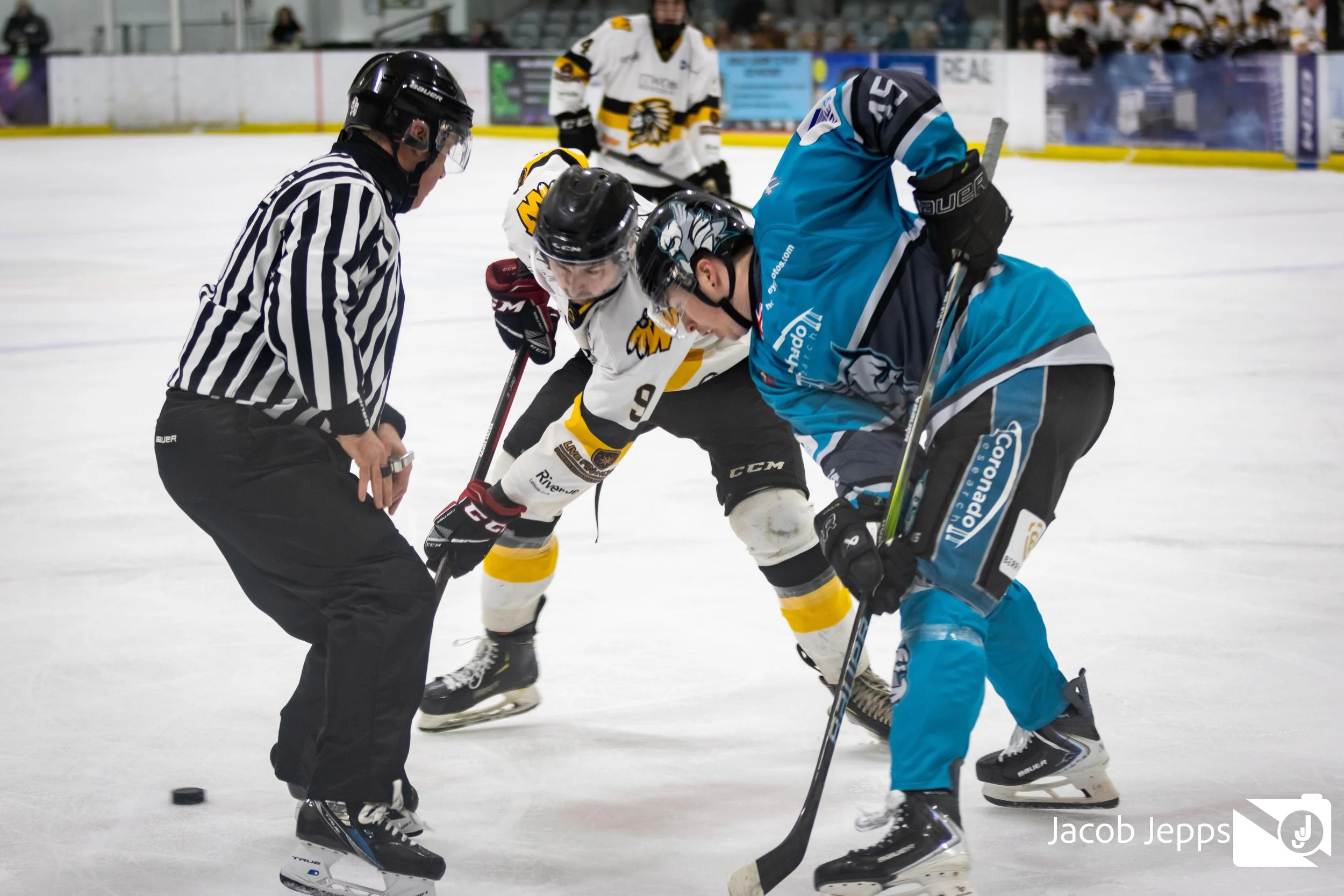 Warriors 1st Feb Website-234.jpg