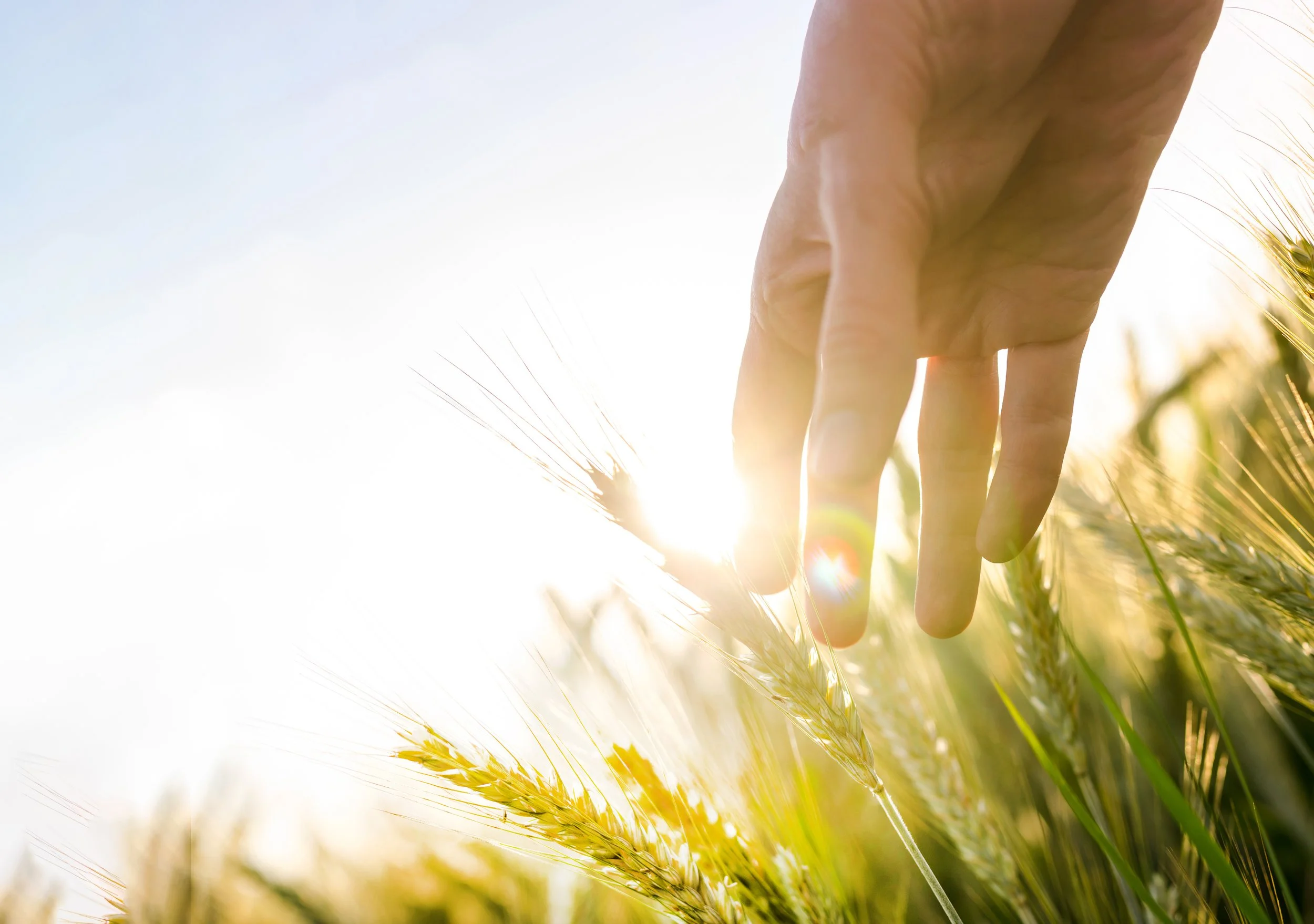 retreats-grief-to-grace-retreat-canada