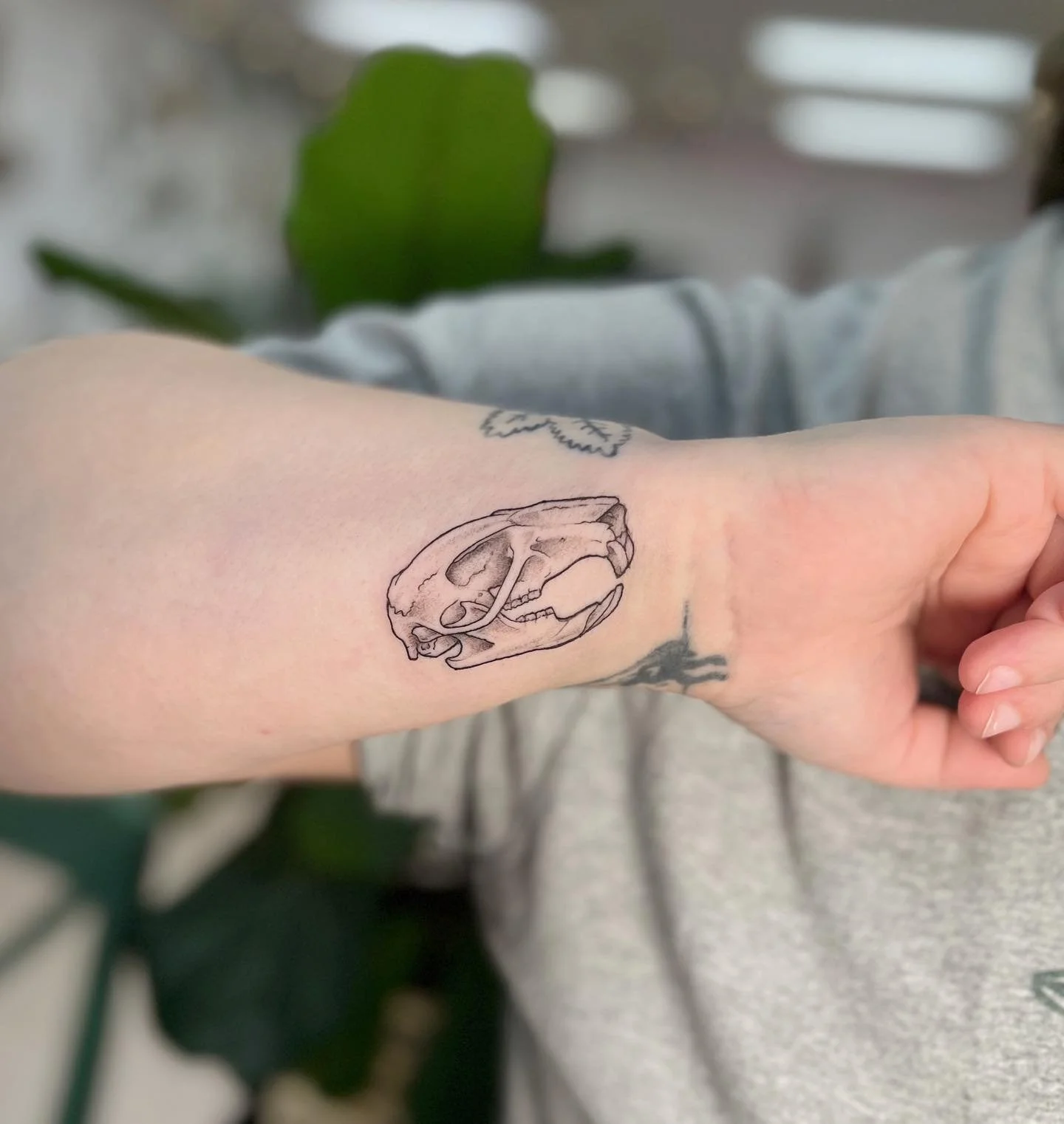 Lil mouse skull for Gray! 🐁 
-
-
My books are open for November! 
#tattoo #tattoos #tattooapprentice #apprenticetattoo
#blackandgreytattoo #mouse #mousetattoo  #illustrativetattoo