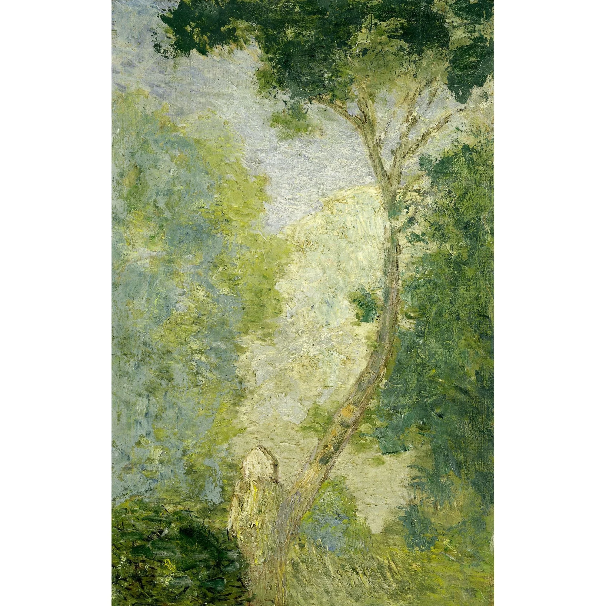 Landscape Print