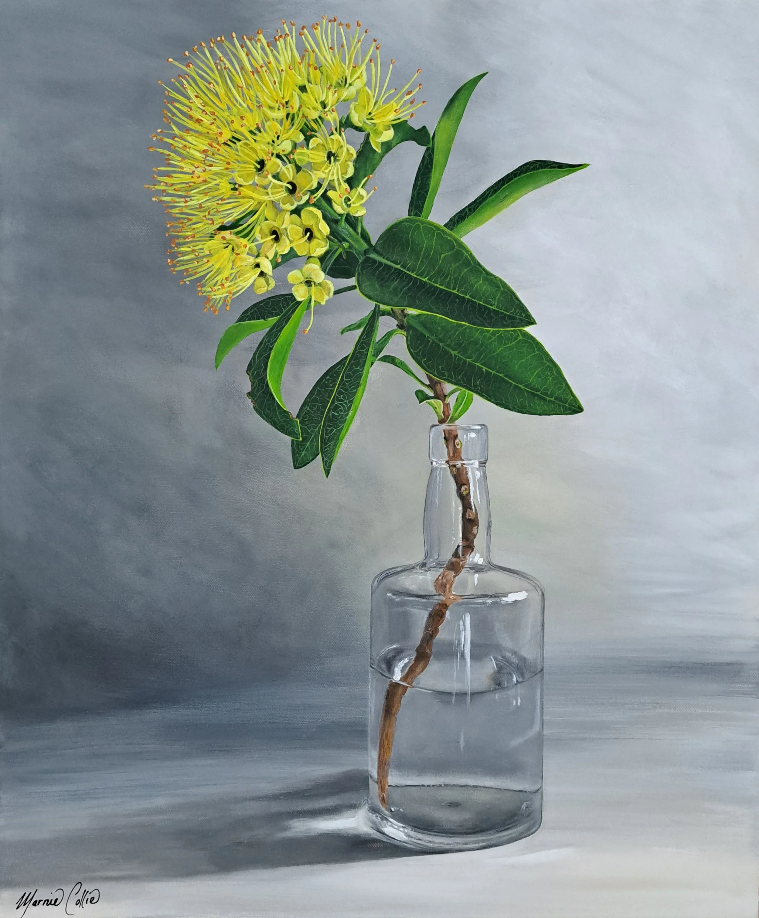 Bottled Sunshine
55 x 45cm