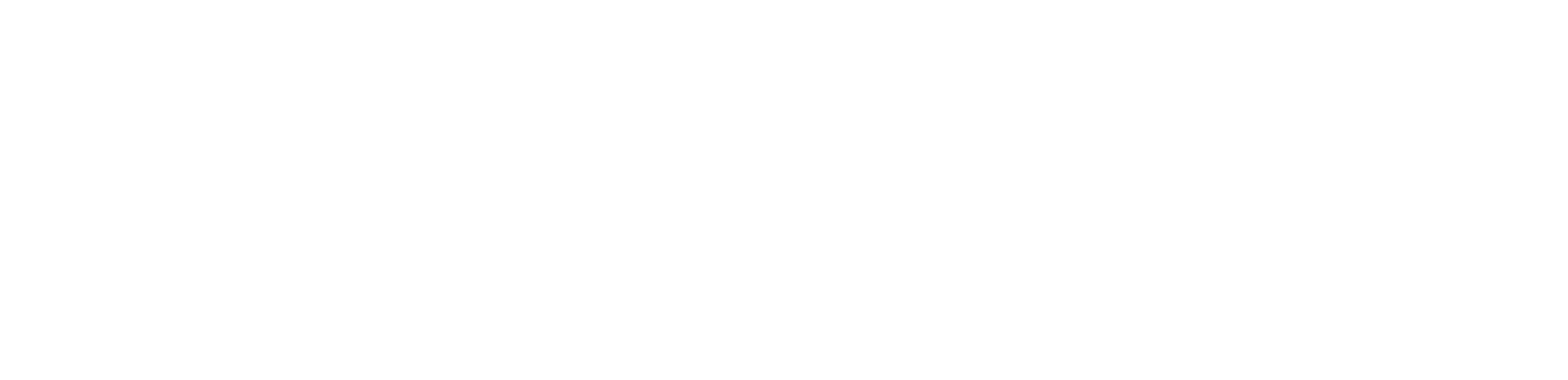 VERIWOLF 