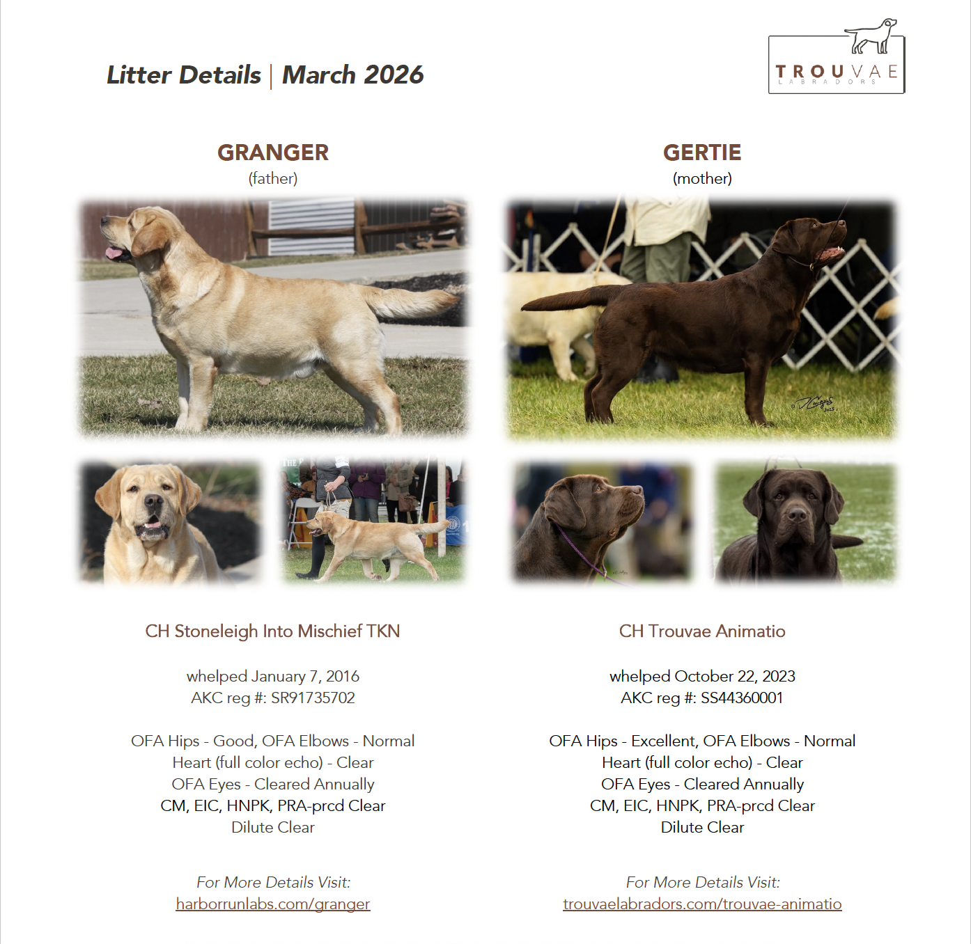 photos of sire and dam of breeding