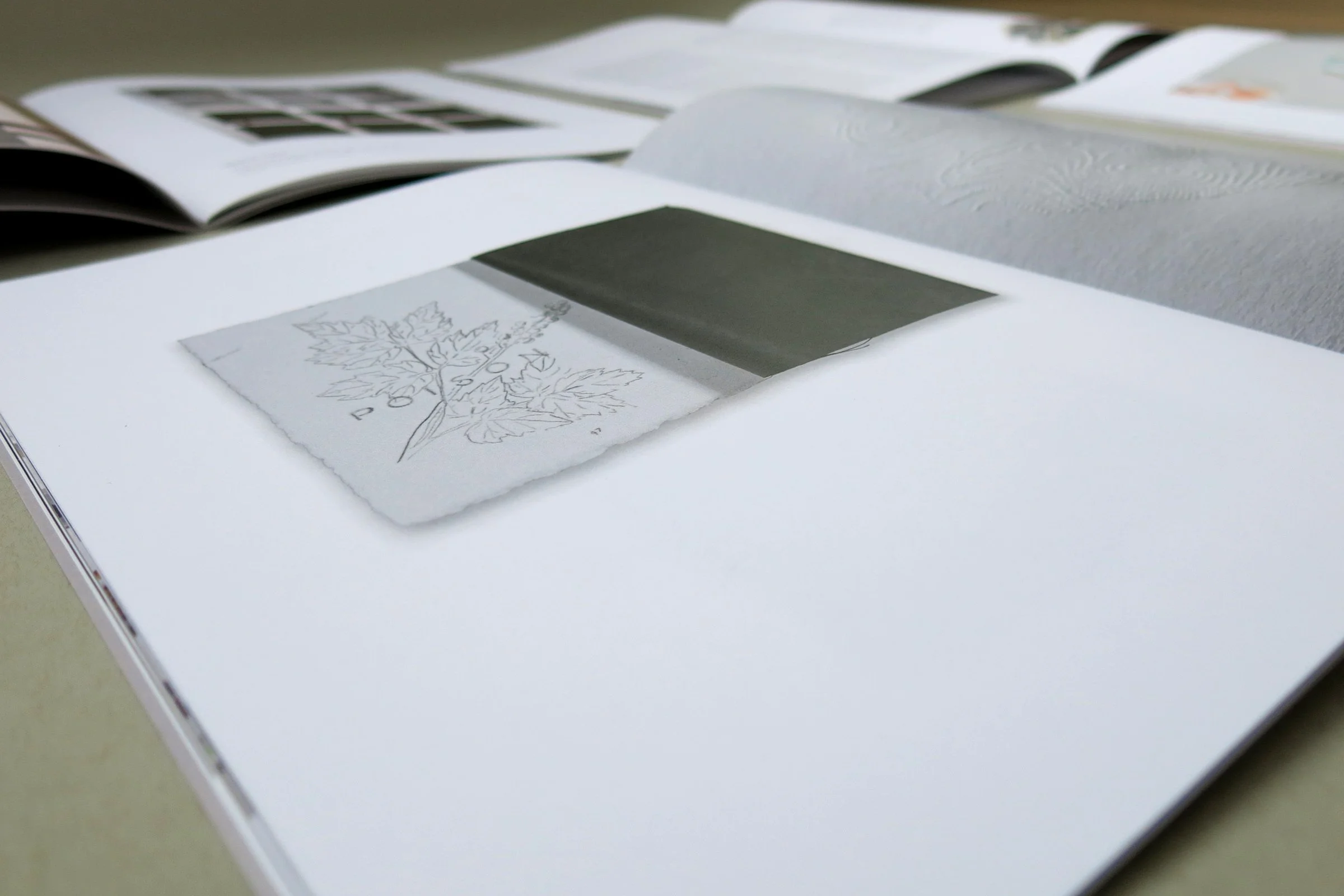 Interior spreads from catalog for UVA Ruffin Gallery show titled A Quick and Tragic Thaw. Artwork is by Yvonne Love and Gabrielle Russomagno of LR Collaborative.