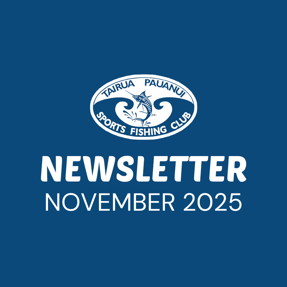 Newsletter - NOVEMBER 2025