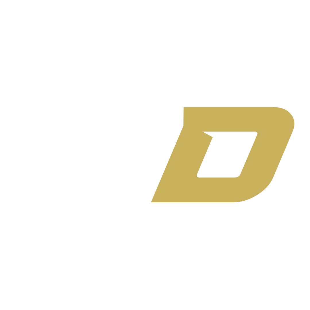 Dias Detailing Logo Letters "DD"