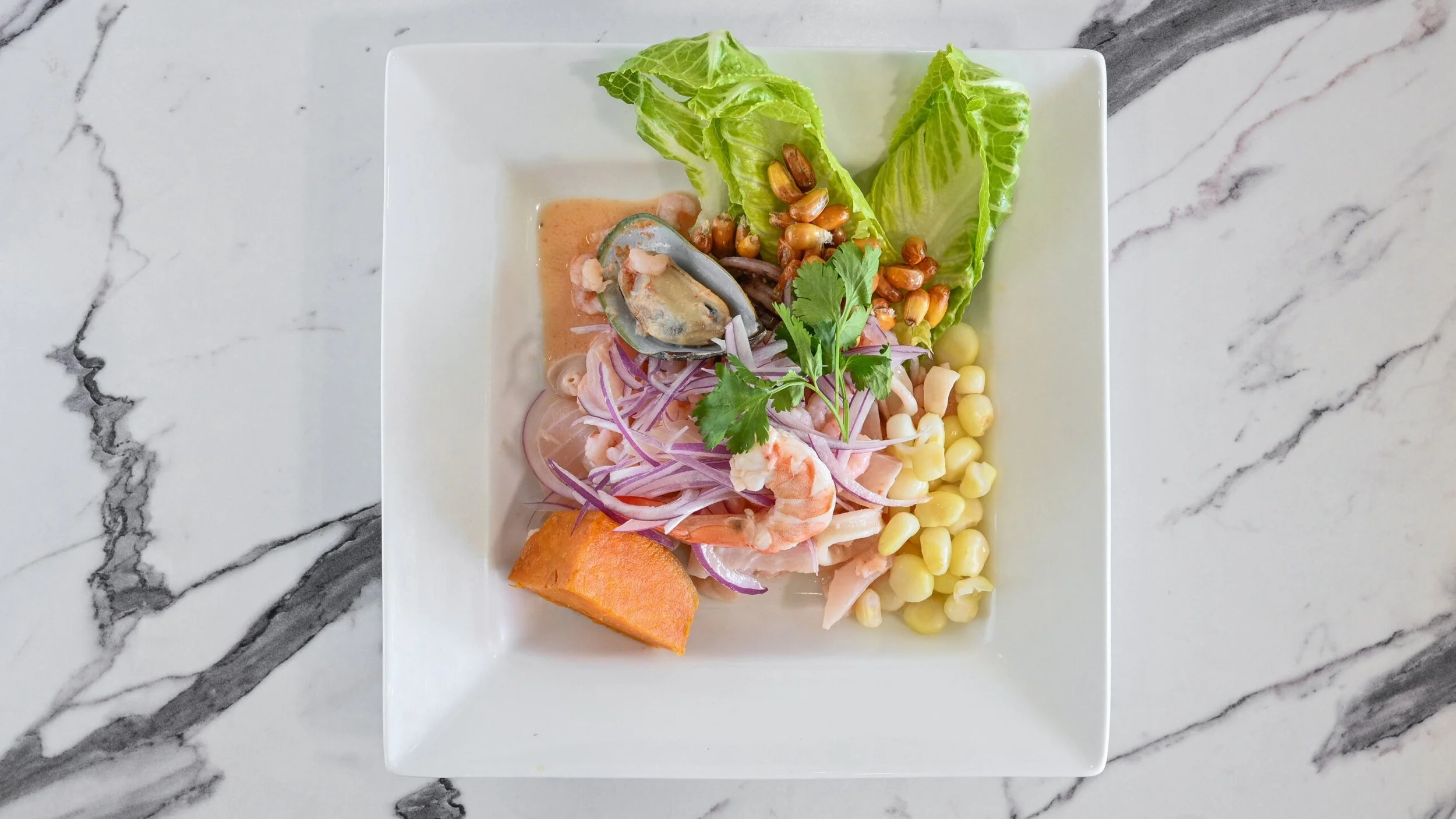 Ceviche Mixto