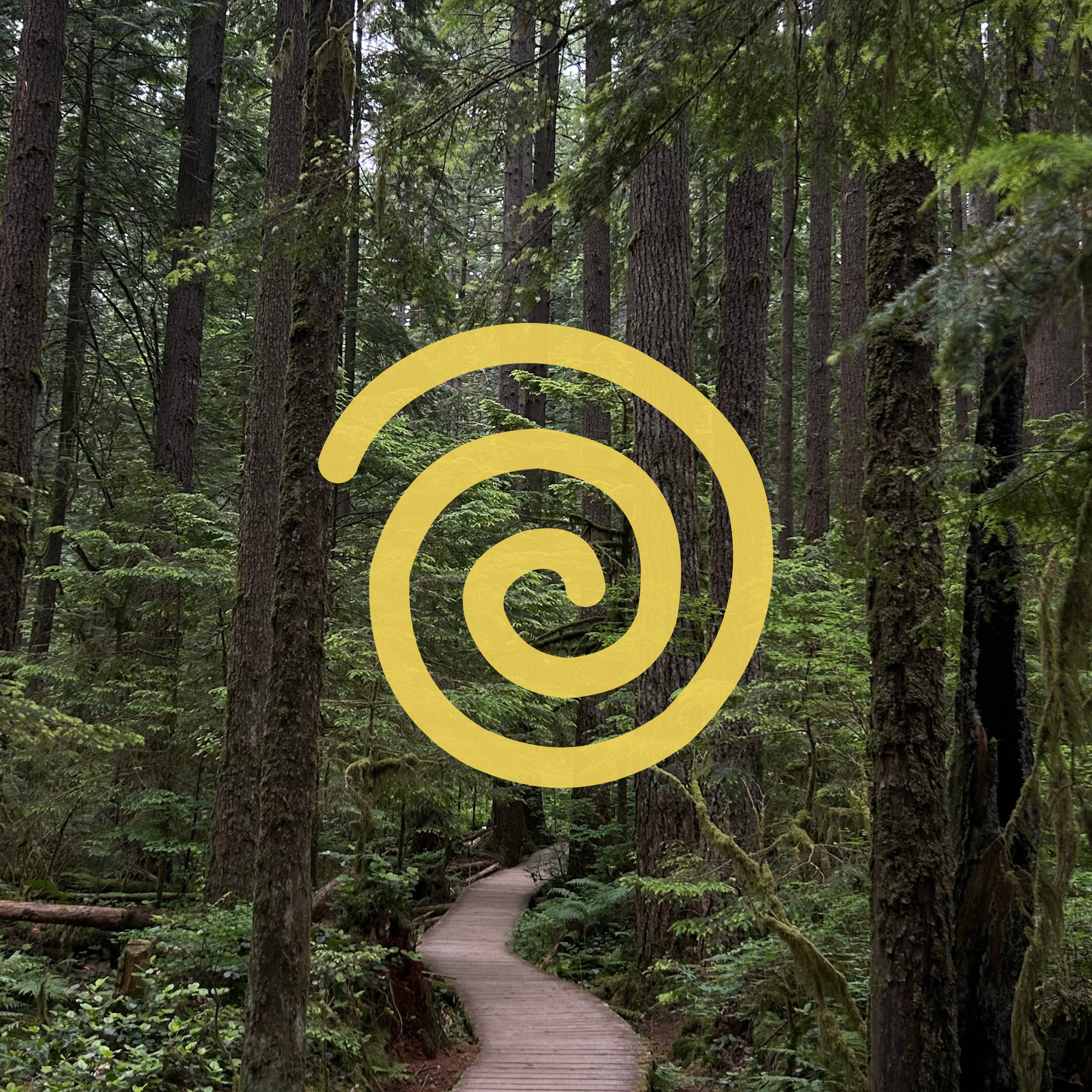 FiliSpace_Colo (1).png