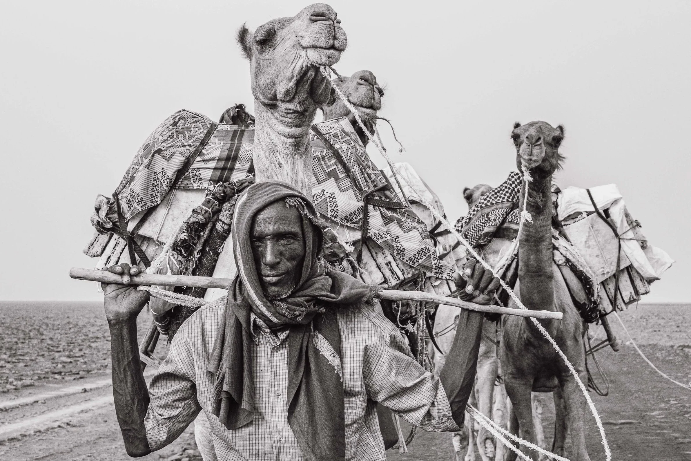 Mineur de sel - Dépression de Danikil, Éthiopie
Salt Miner- Danikil Depression, Ethiopia