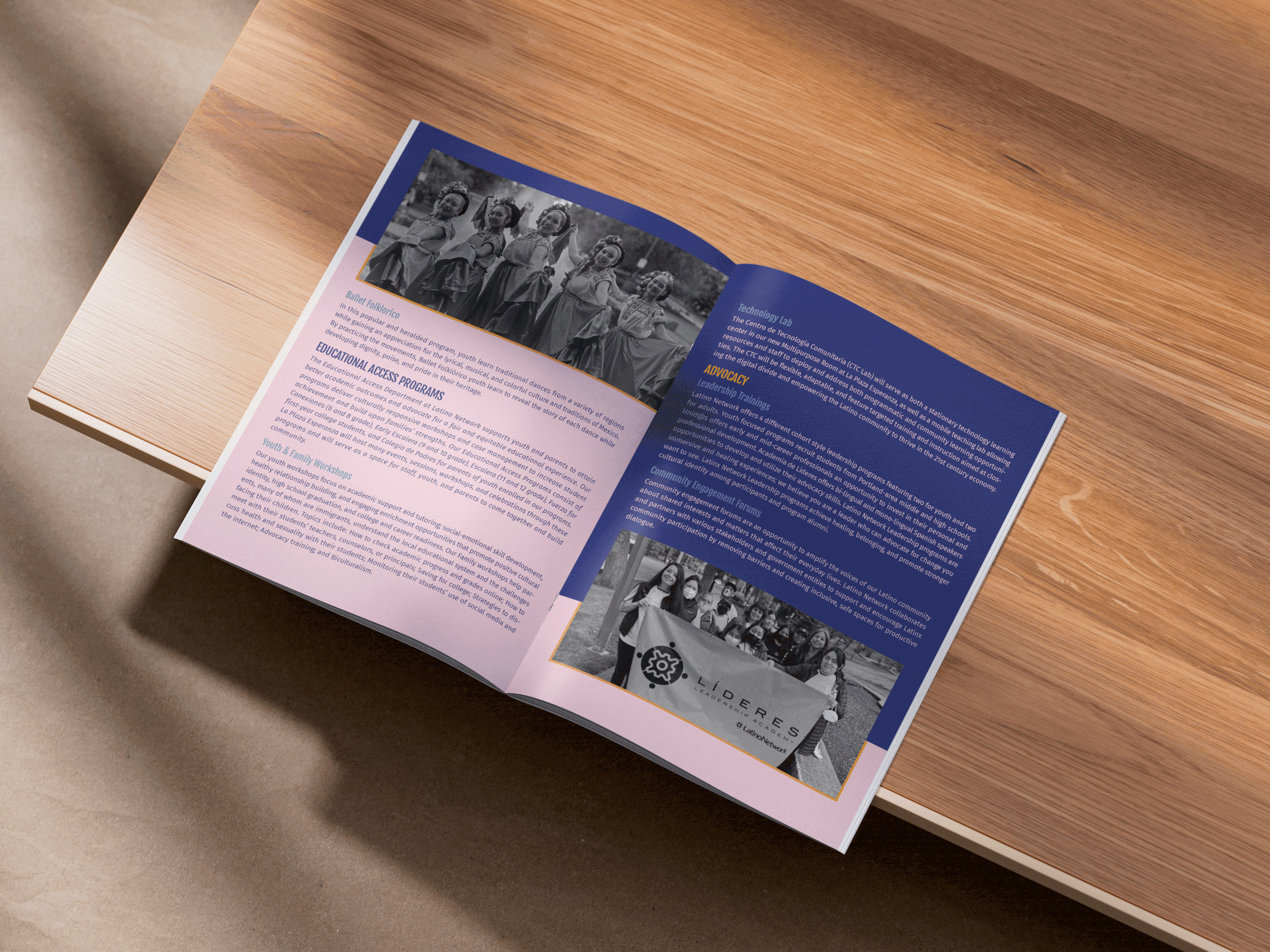 Brochure_Mockup_1.gif
