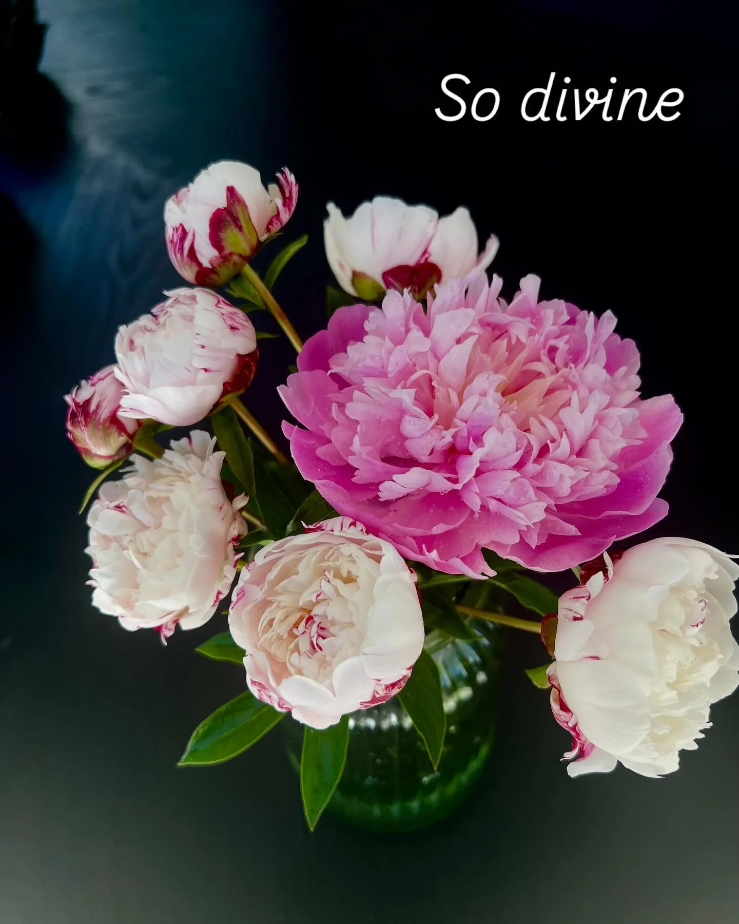 🌸smell as good as they look 🌸

#peony #beautifulflowers #cutflowersfrommygarden