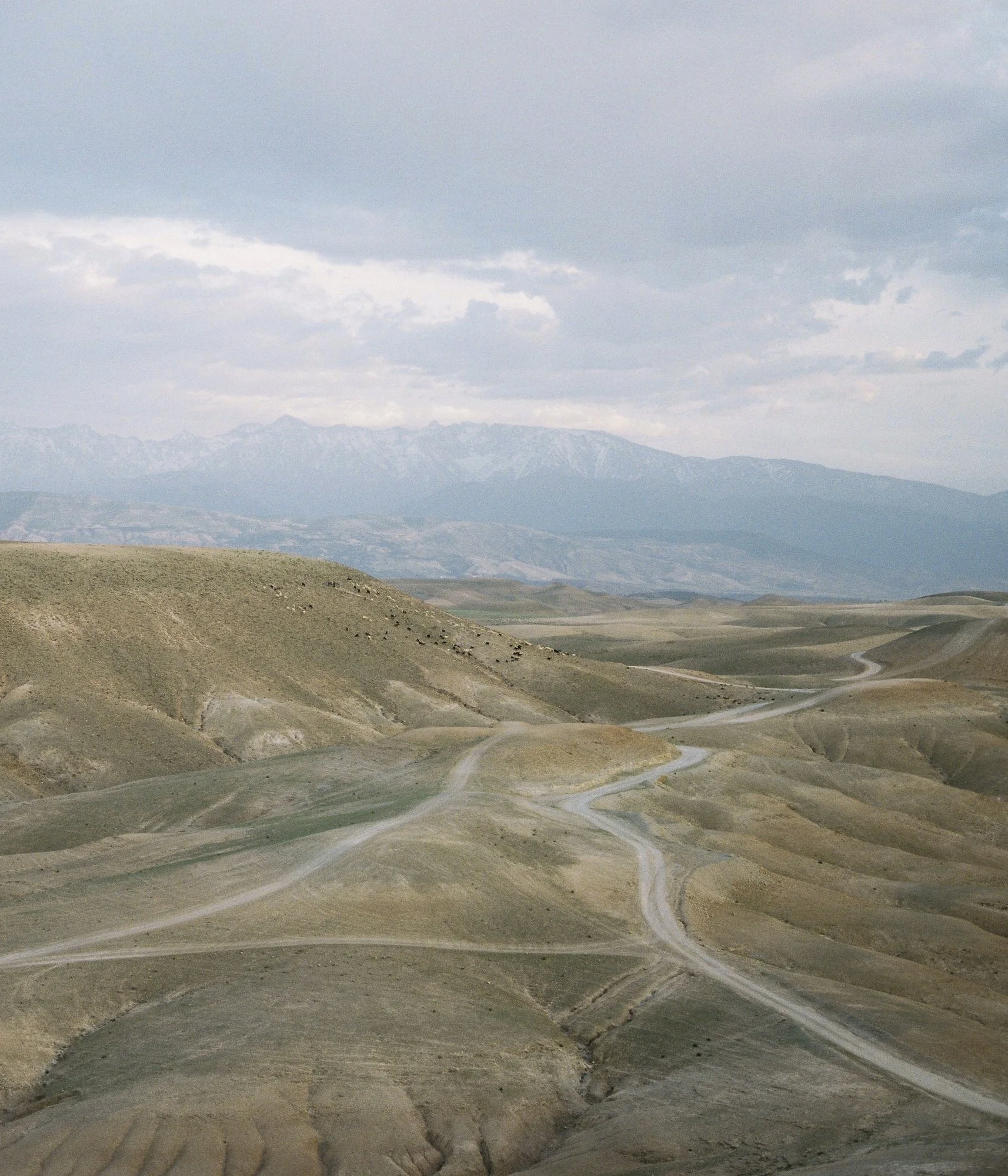 Alexander Collins_photographer_-36.jpg