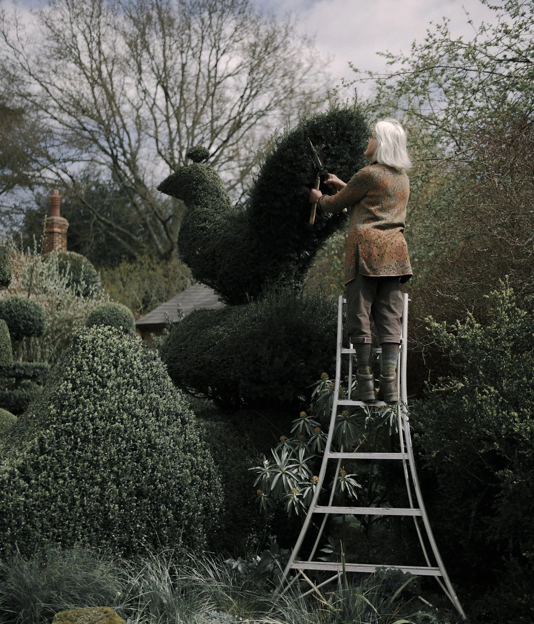 Alexander Collins_photographer_-10.jpg