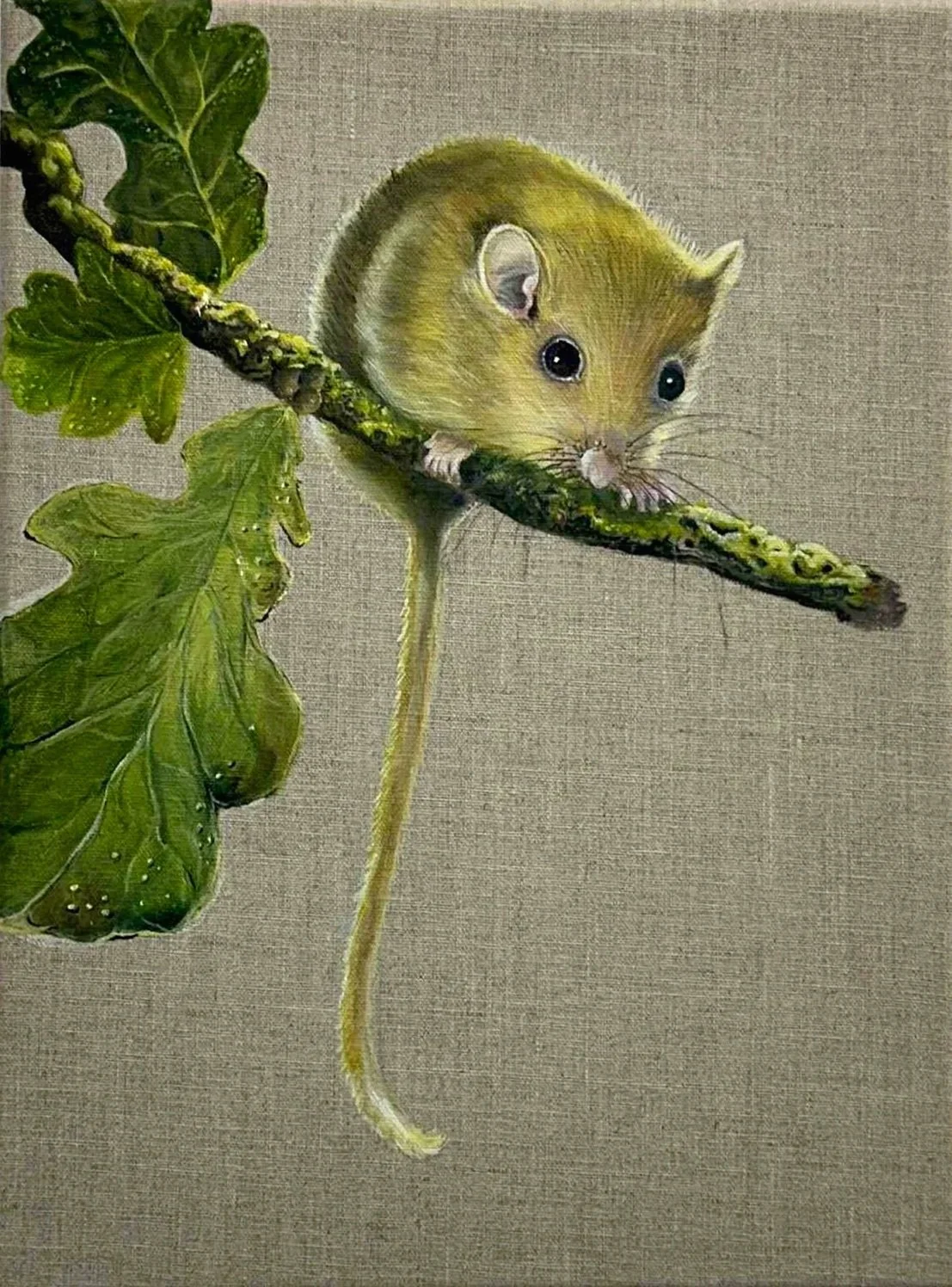 Title: Hazel - oil on raw canvas - this little hazel dormouse in under severe threat 