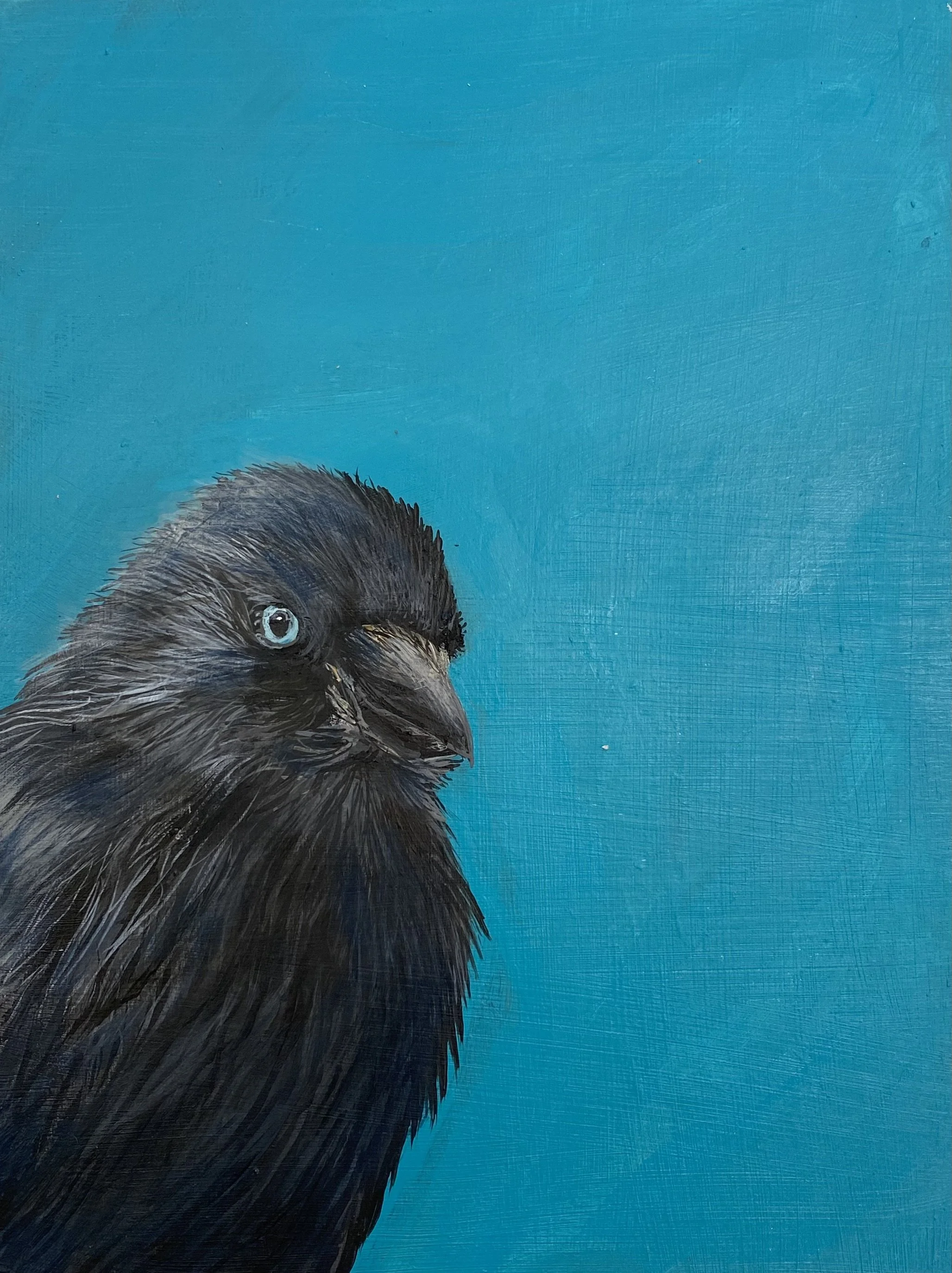 SOLD Title: Little Crow - Acrylic on board - Sold in aid of raising funds for Lansdown Art Studios