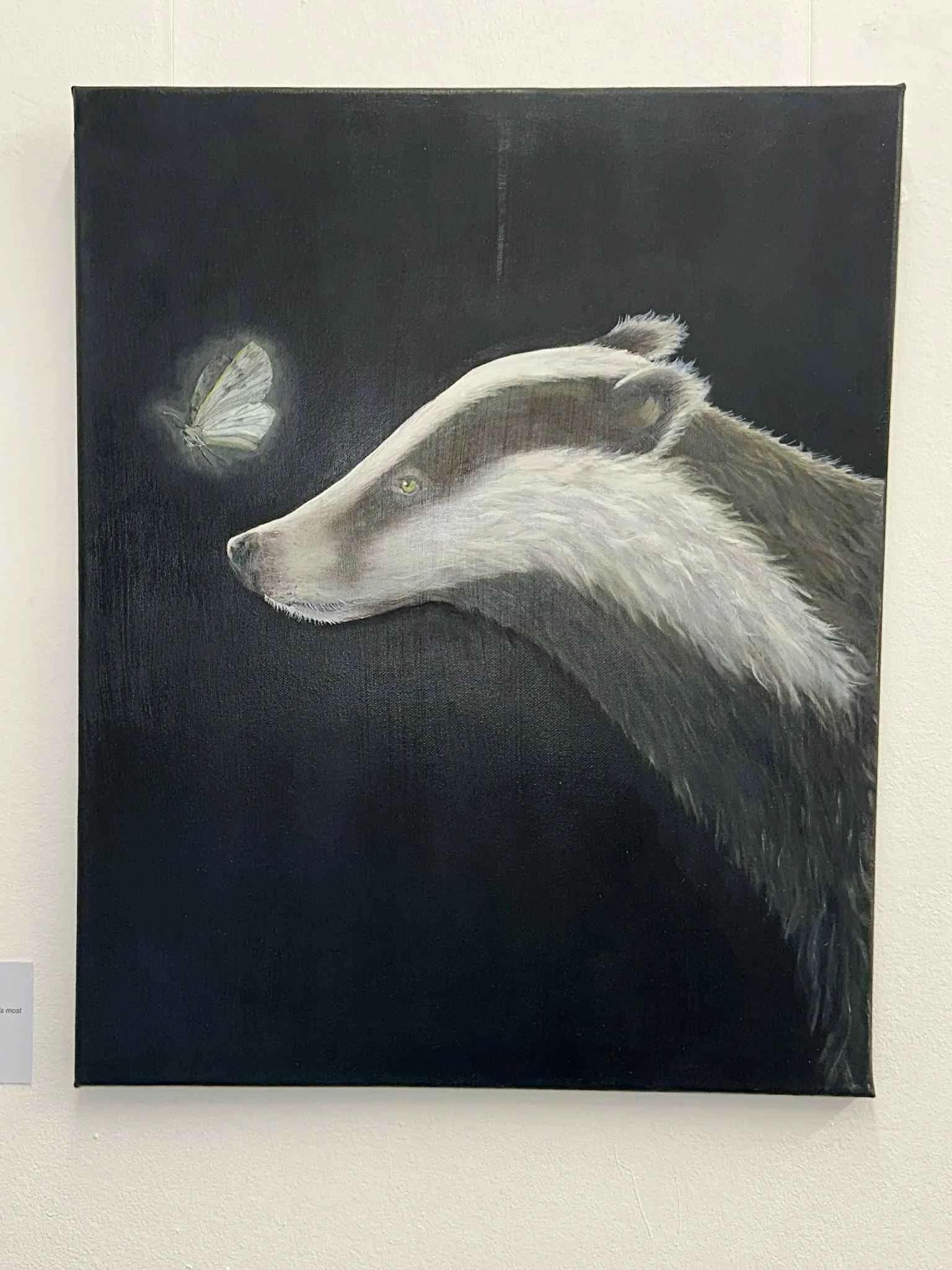 Title: Nocturnal -  Oil on Canvas - Shows the badger engaging with the White Ermin both the badger and moth often face public conflict and yet are essential to our ecosystem.