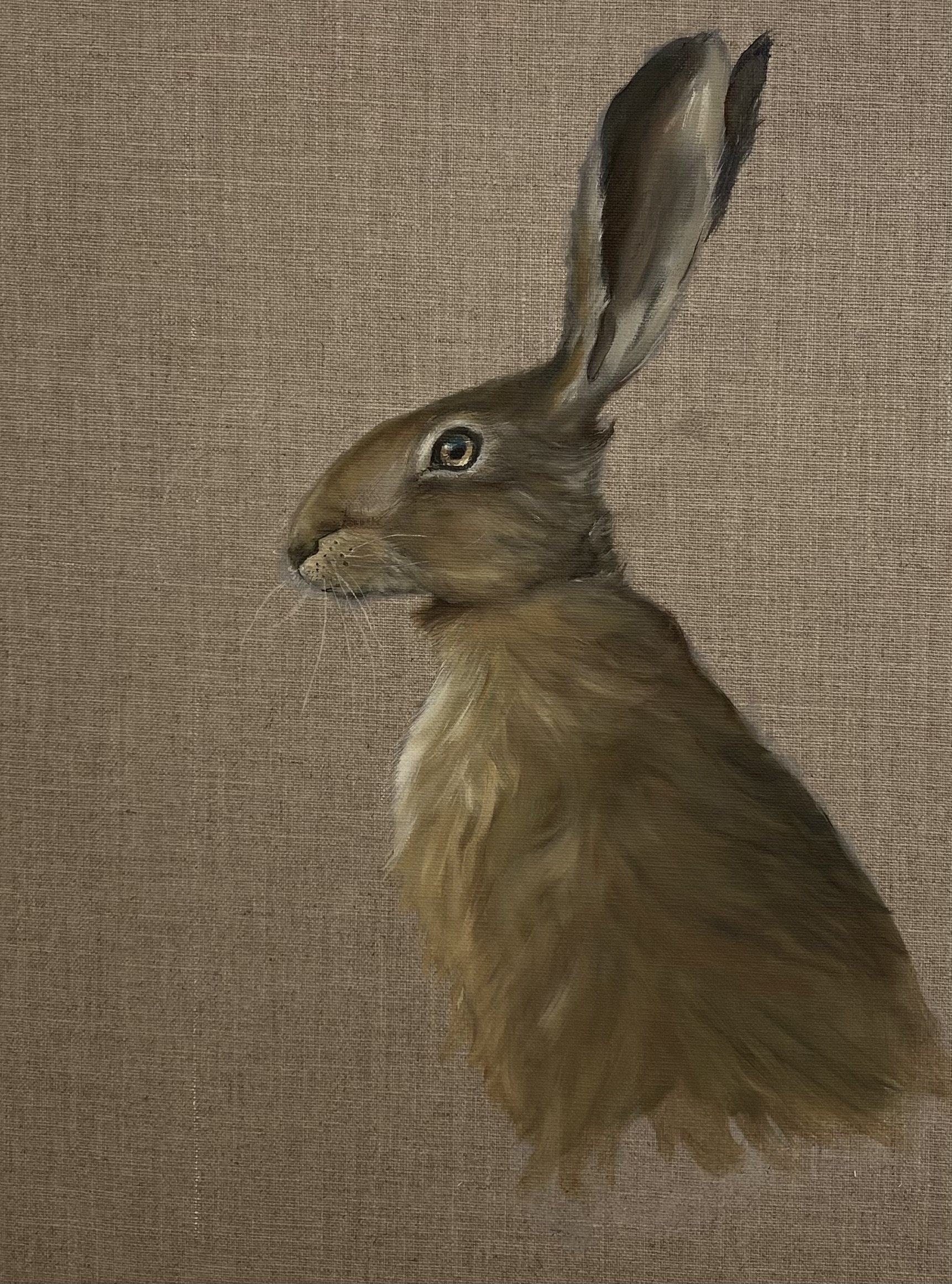 Leveret at Dawn - Oil on raw canvas - The wild hare is one of England’s most evocative countryside creatures — but it is under serious pressure. 