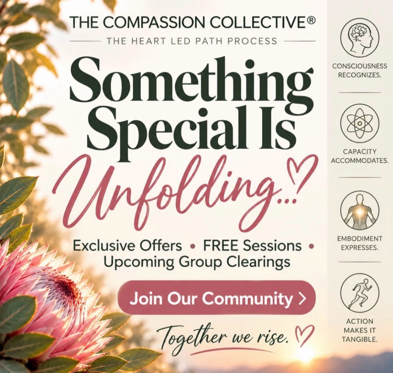 💚🔑 The Compassion Collective&reg;
The Heart Led Path Process

✨ Something special is unfolding, and you&rsquo;re invited!

Are you ready to explore a deeper connection with yourself and discover what&rsquo;s possible when you begin living from your