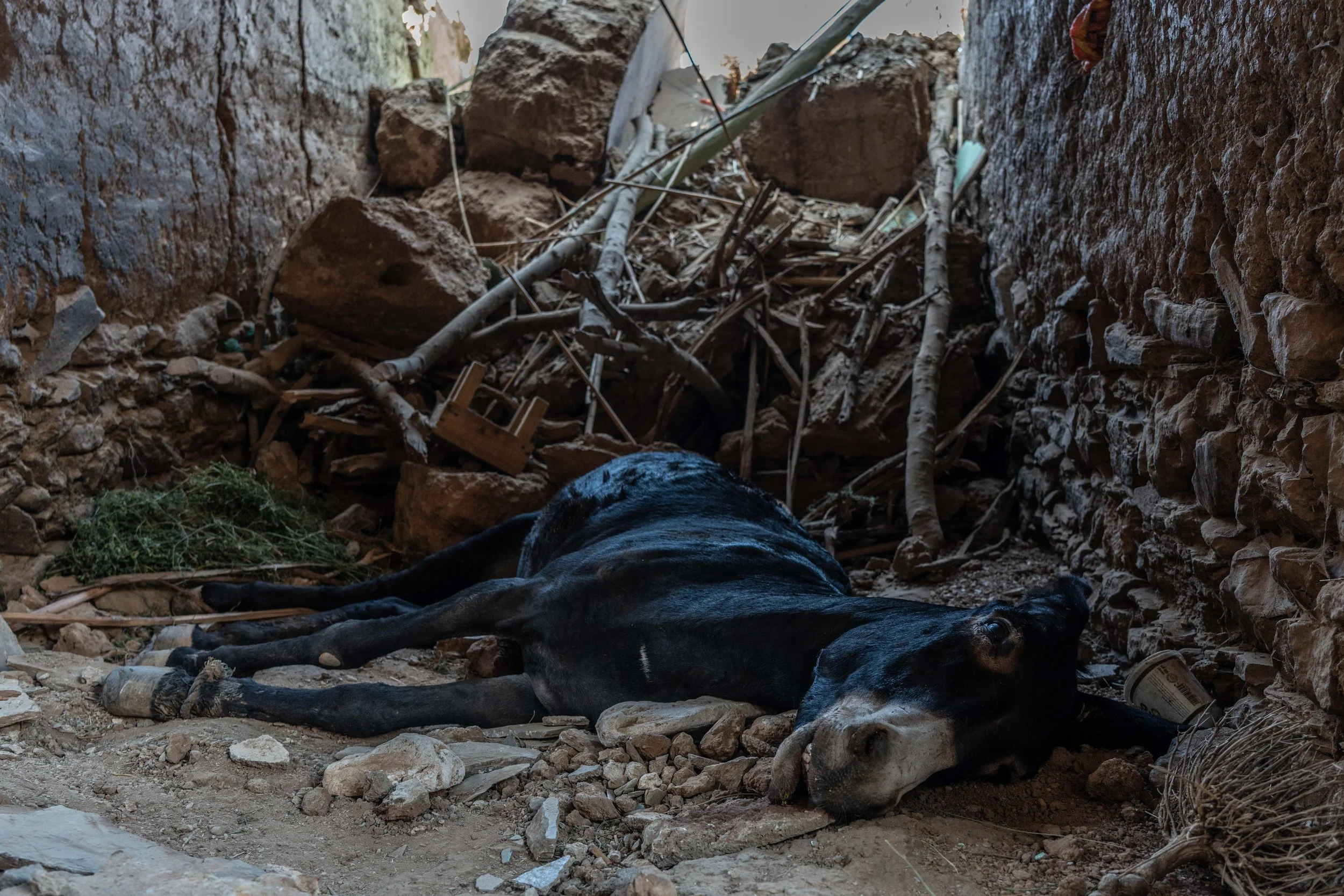 MoroccoQuake-39.jpg