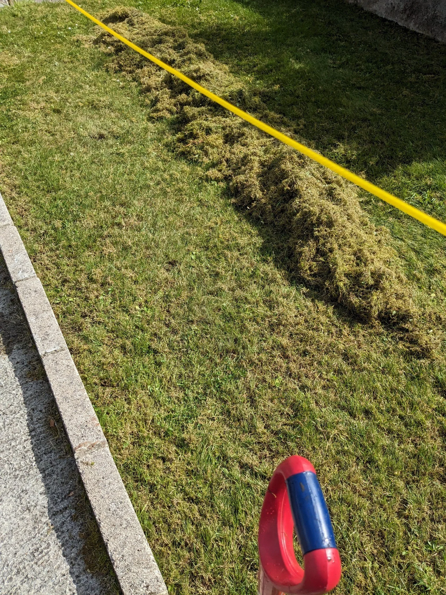 Reseeding a Totnes moss covered lawn