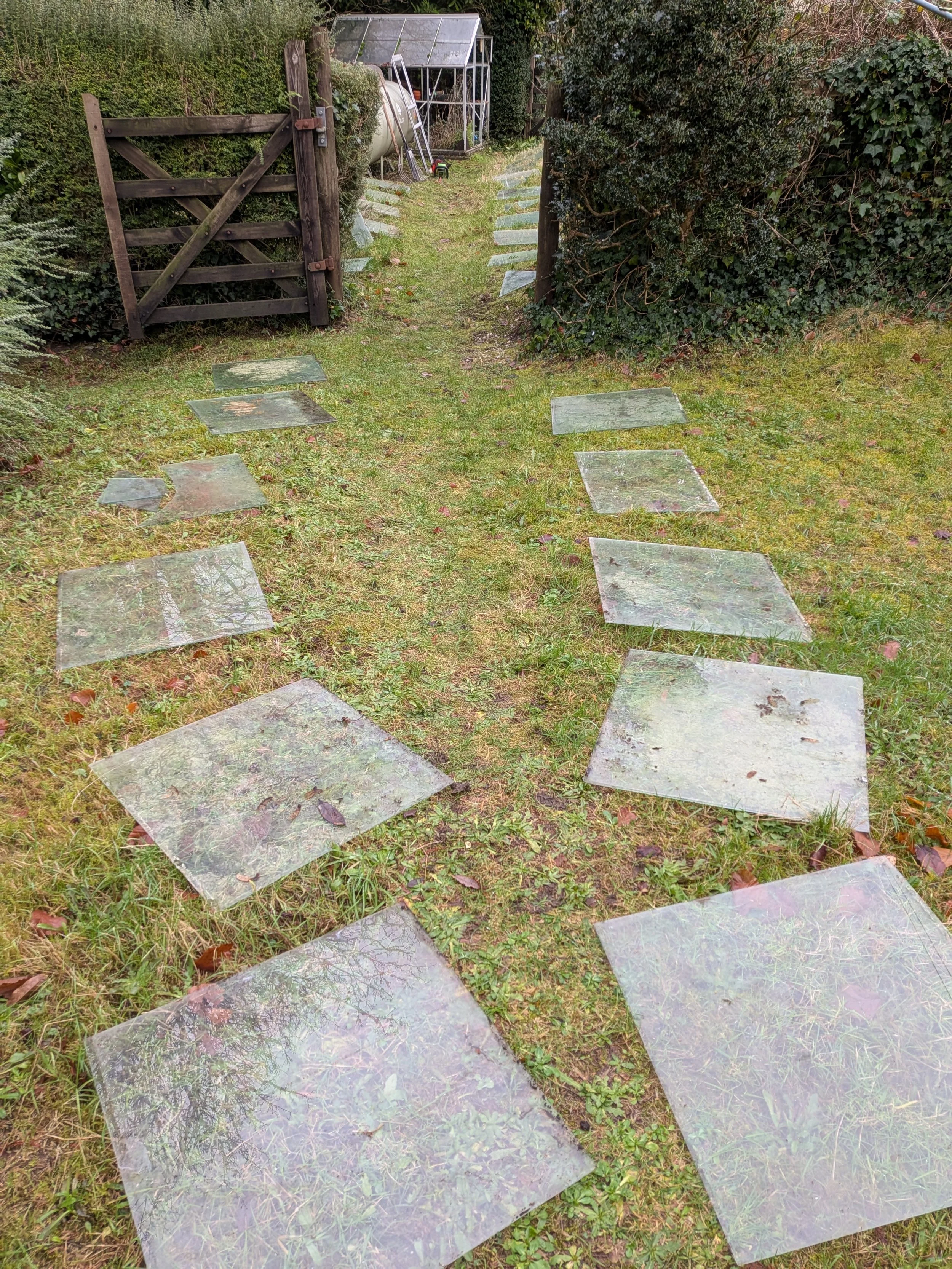 Greenhouse Cleaning Totnes