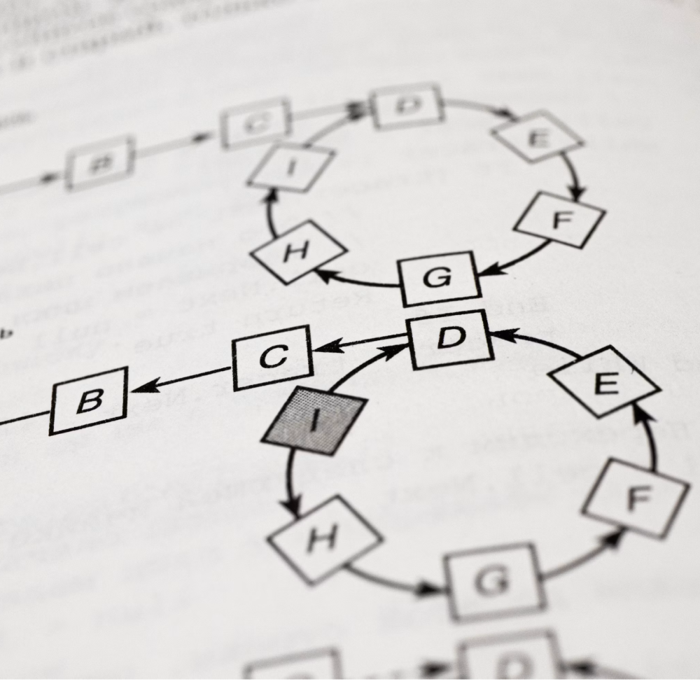Can AI help independent newsrooms keep subscribers?