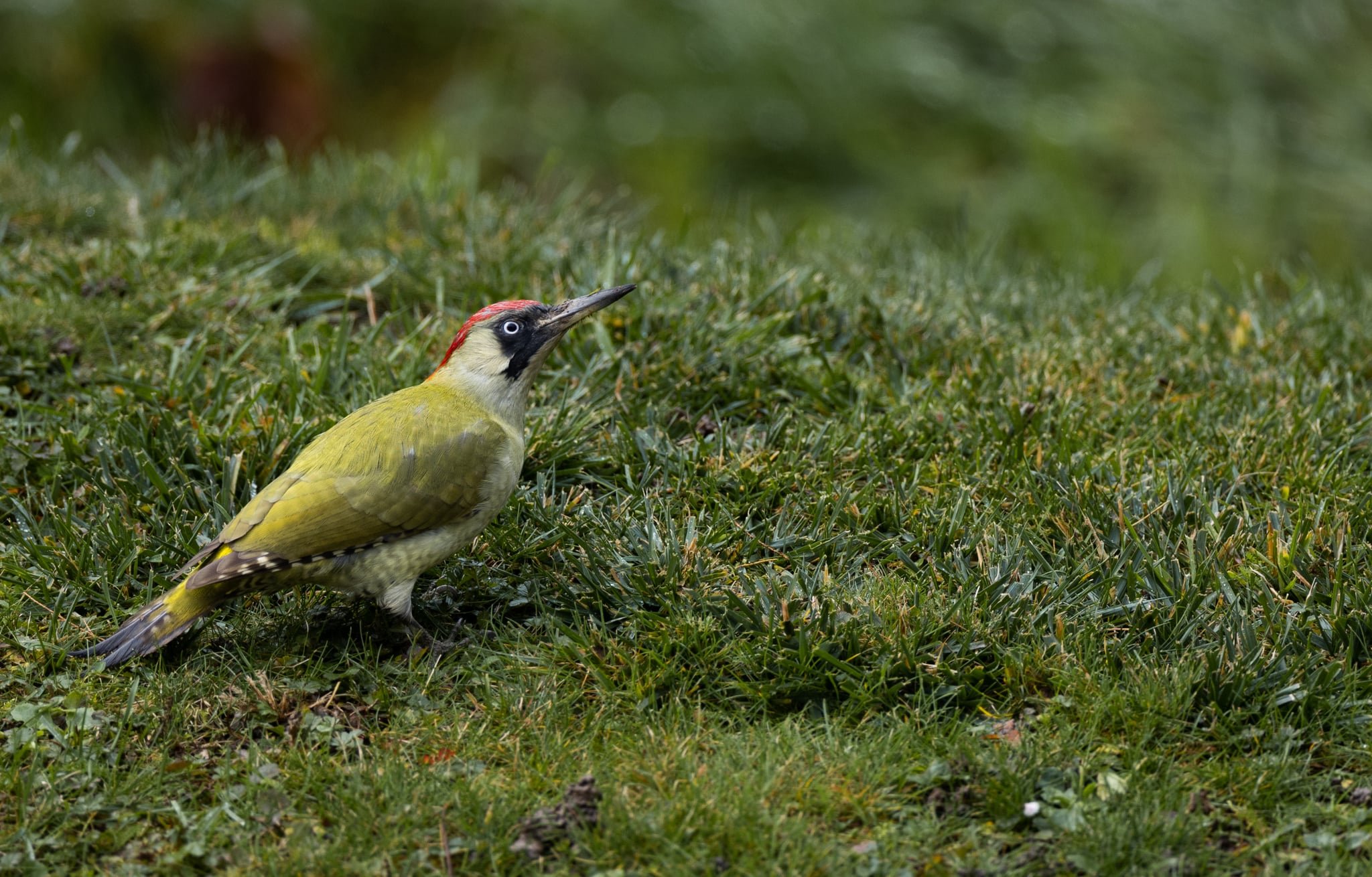 Après-midi ciné - Du Grand Val au Petit Val