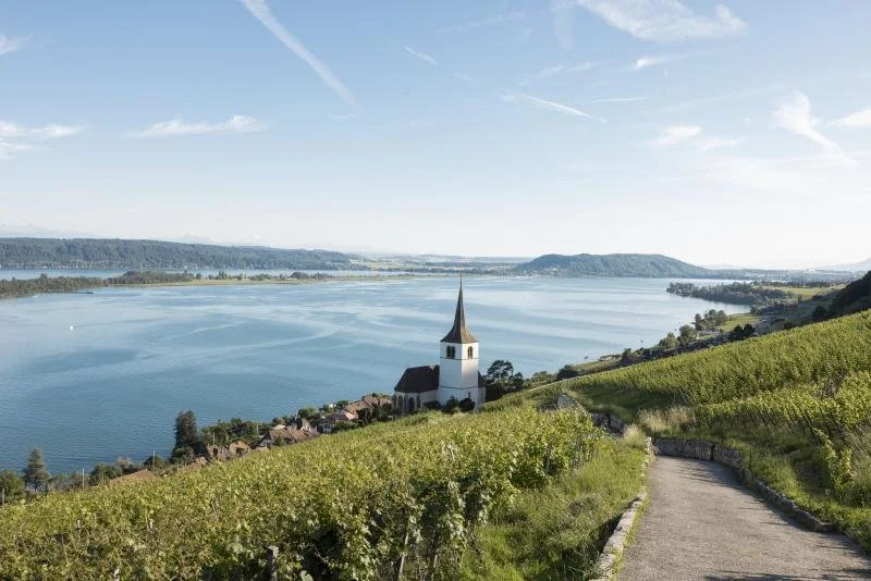 Grillade au bord du lac de Bienne