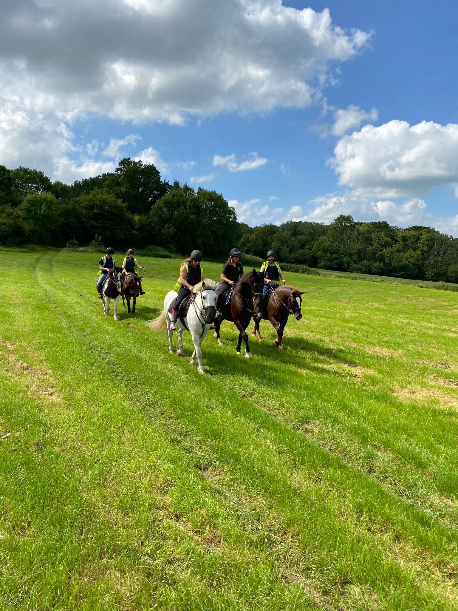 Sandford Stables (Prev. Woodhouse Farm Stables)