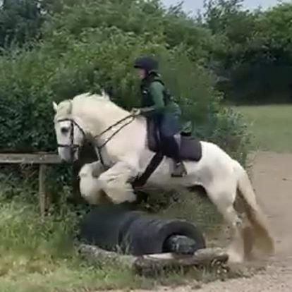 tyres bentley and steph.jpeg