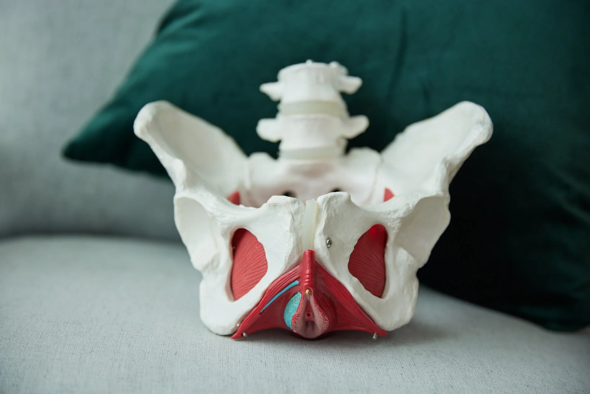 Pelvic Floor Muscle Relaxation