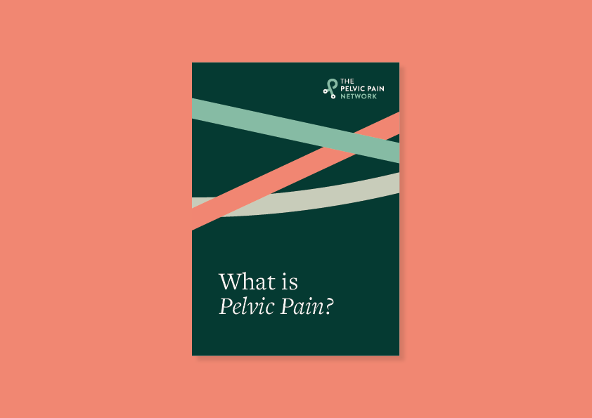 What is Pelvic Pain? guide cover