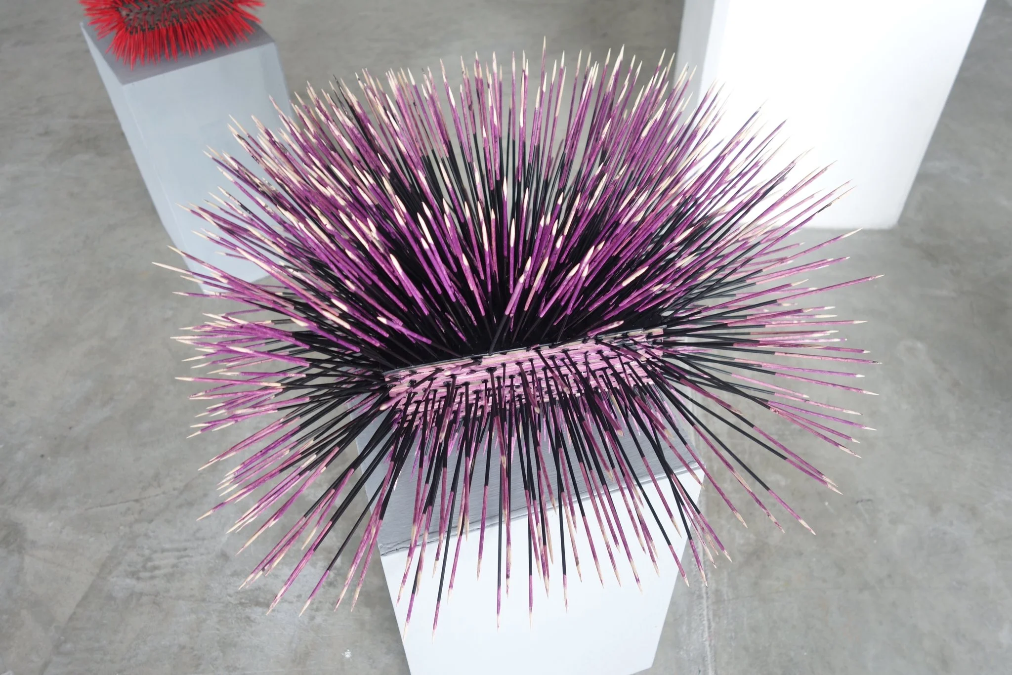 18c5ab40-6d27-417b-81e9-95ea4baead21 2.JPG