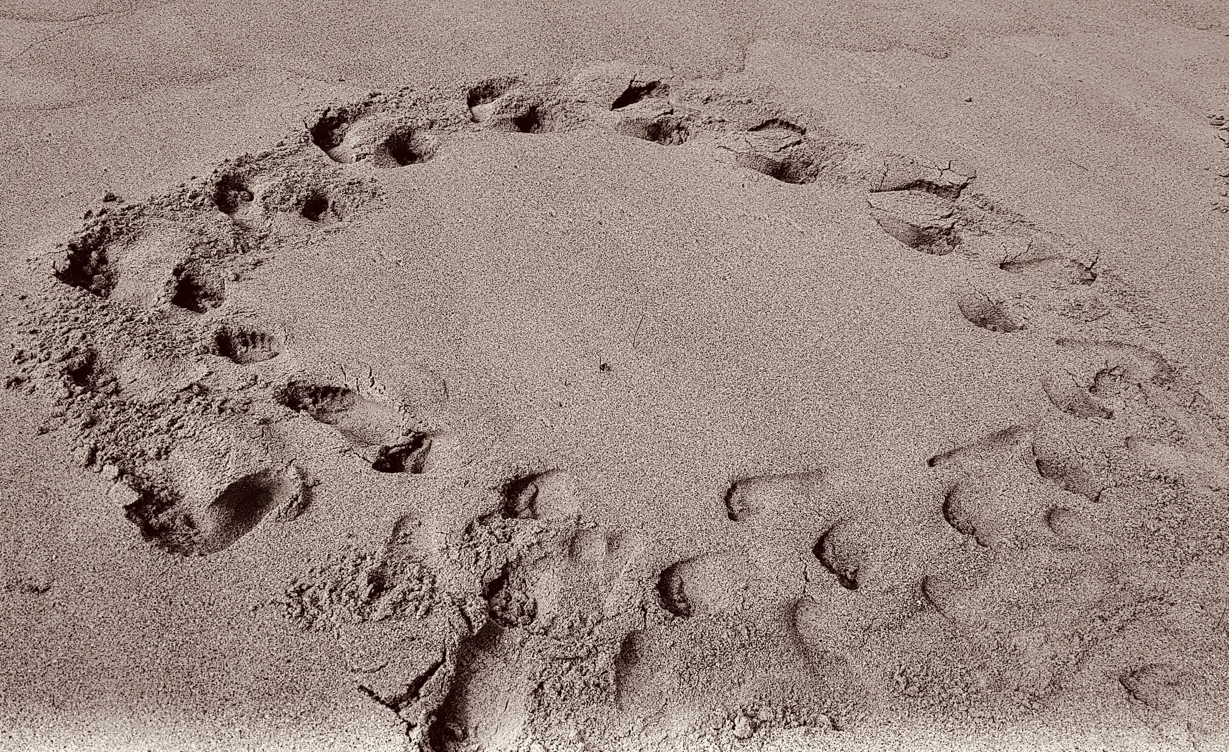 new 100 by 60 (1).jpeg