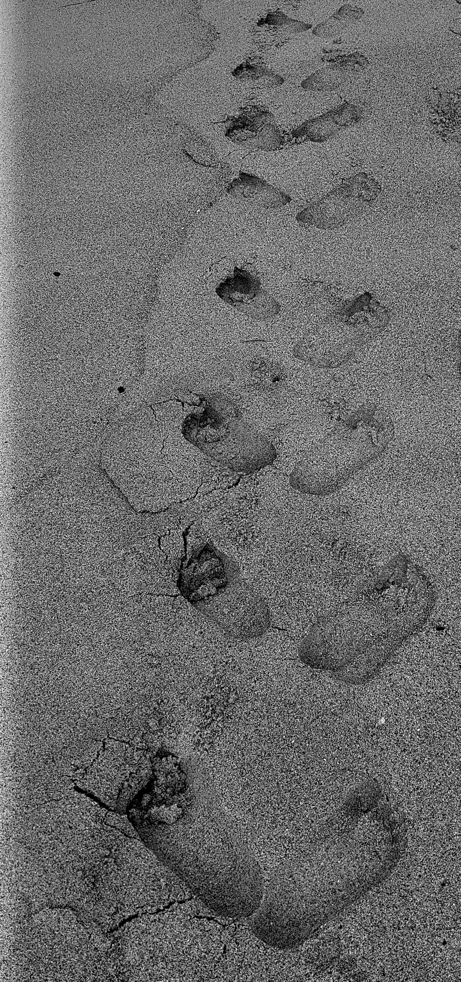 new image 80 by 40 (1).jpeg