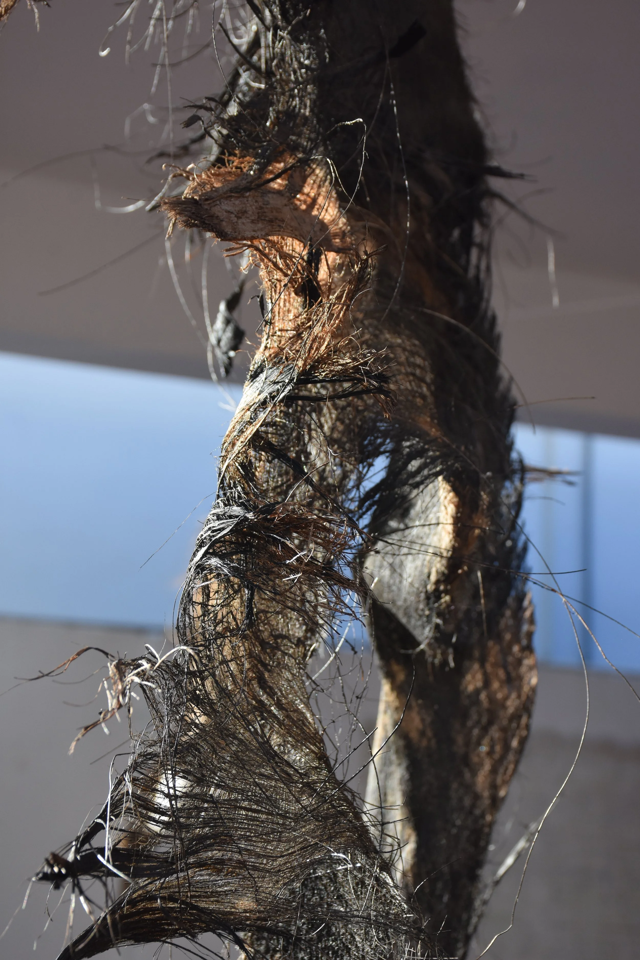 DSC_5361.JPG