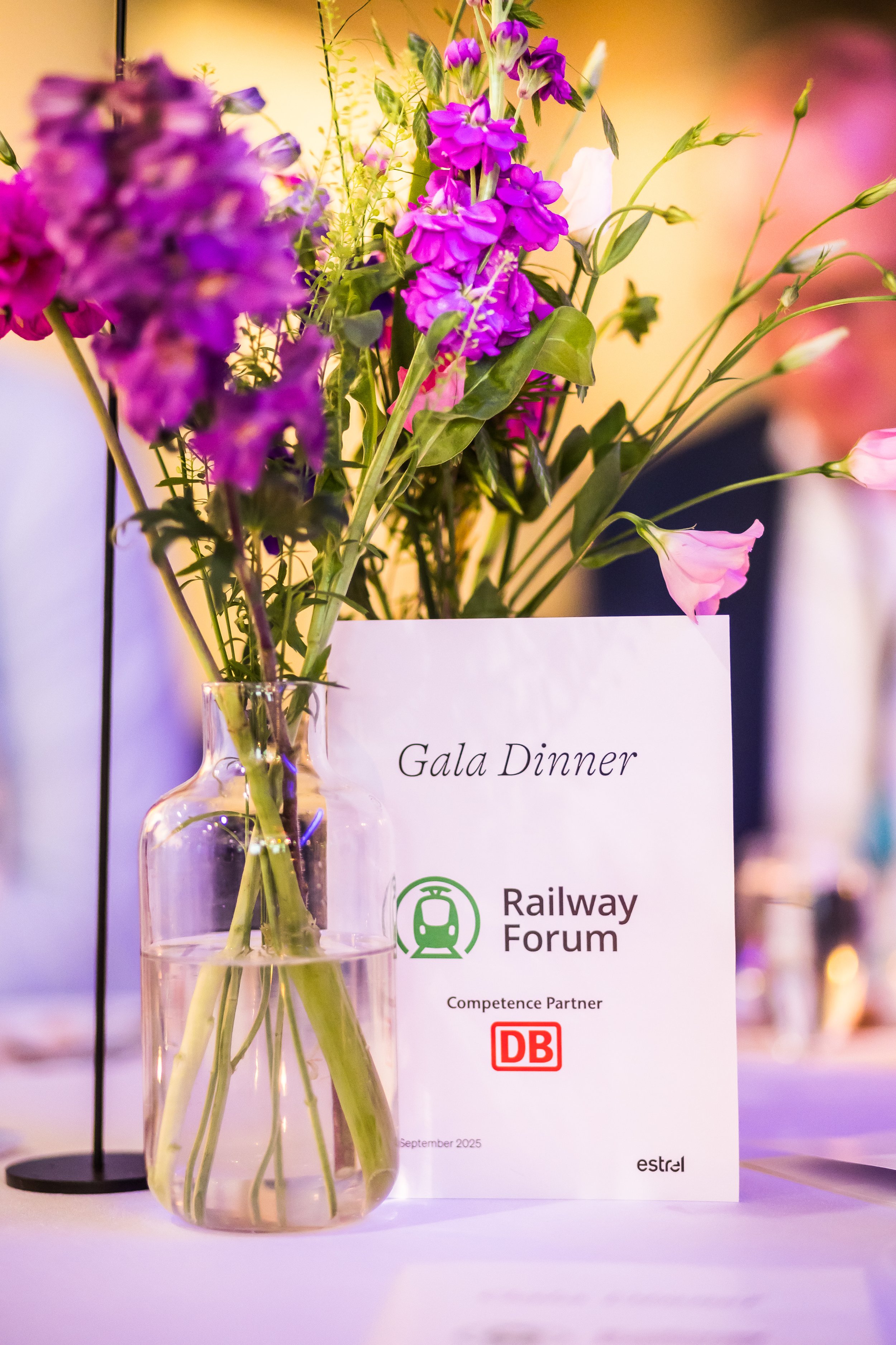 RFO_03.09 AnneGroßmannPhotography_EveningEvent (235).JPG