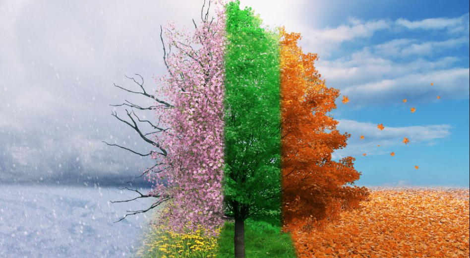 Seasonal Synergy: Unlocking Your Fitness Potential for Lasting Success