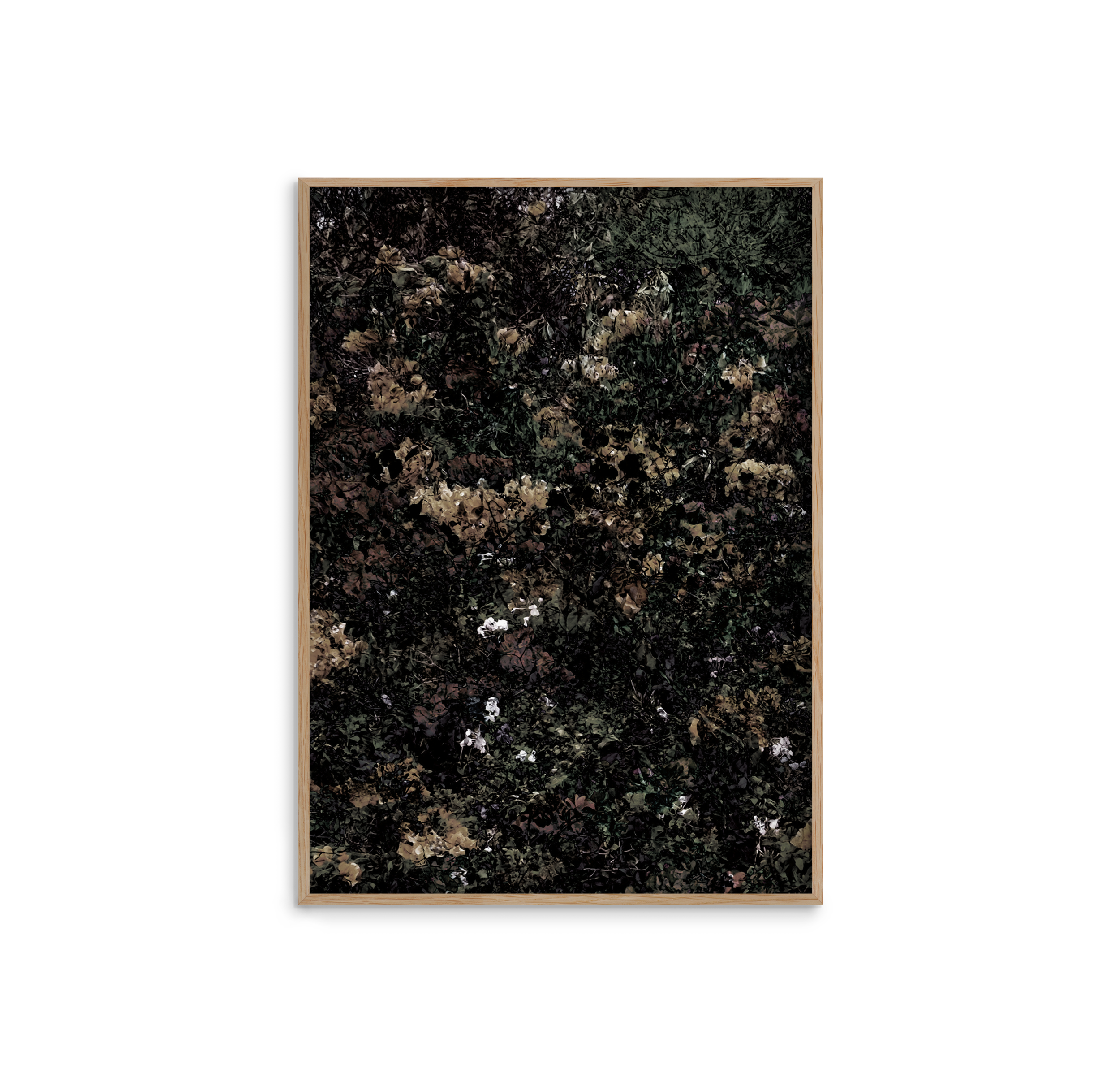 FPPLC0181.png