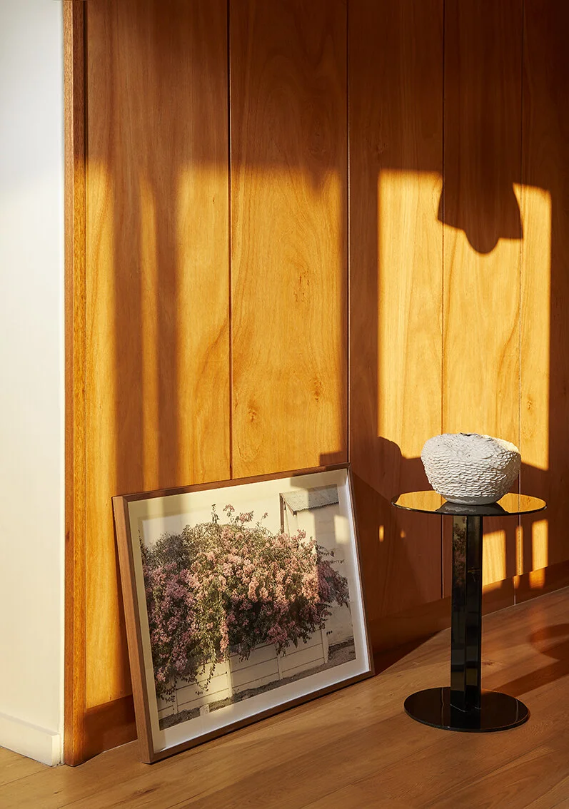 Bougainvillea 276.jpg