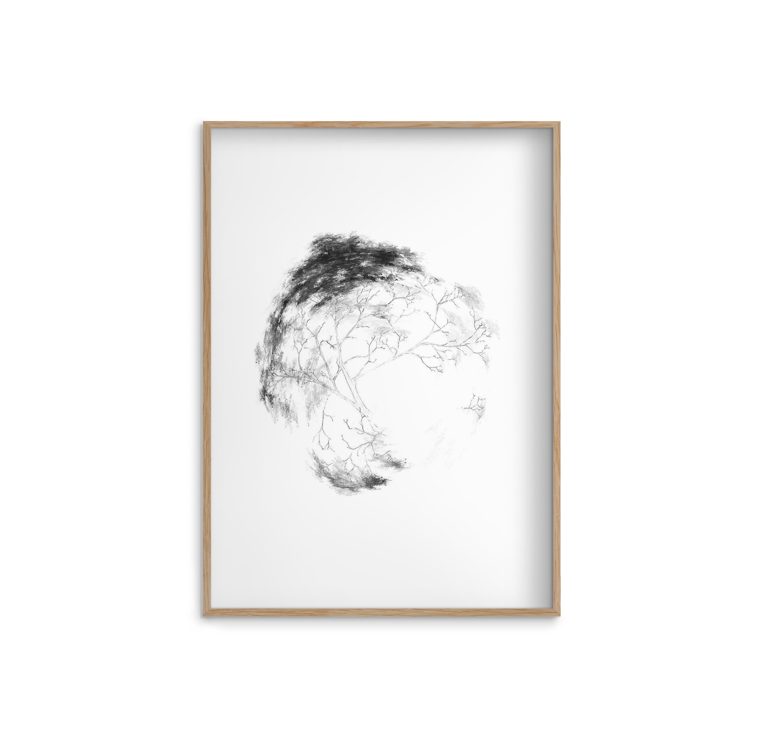 FPPLC0020.png