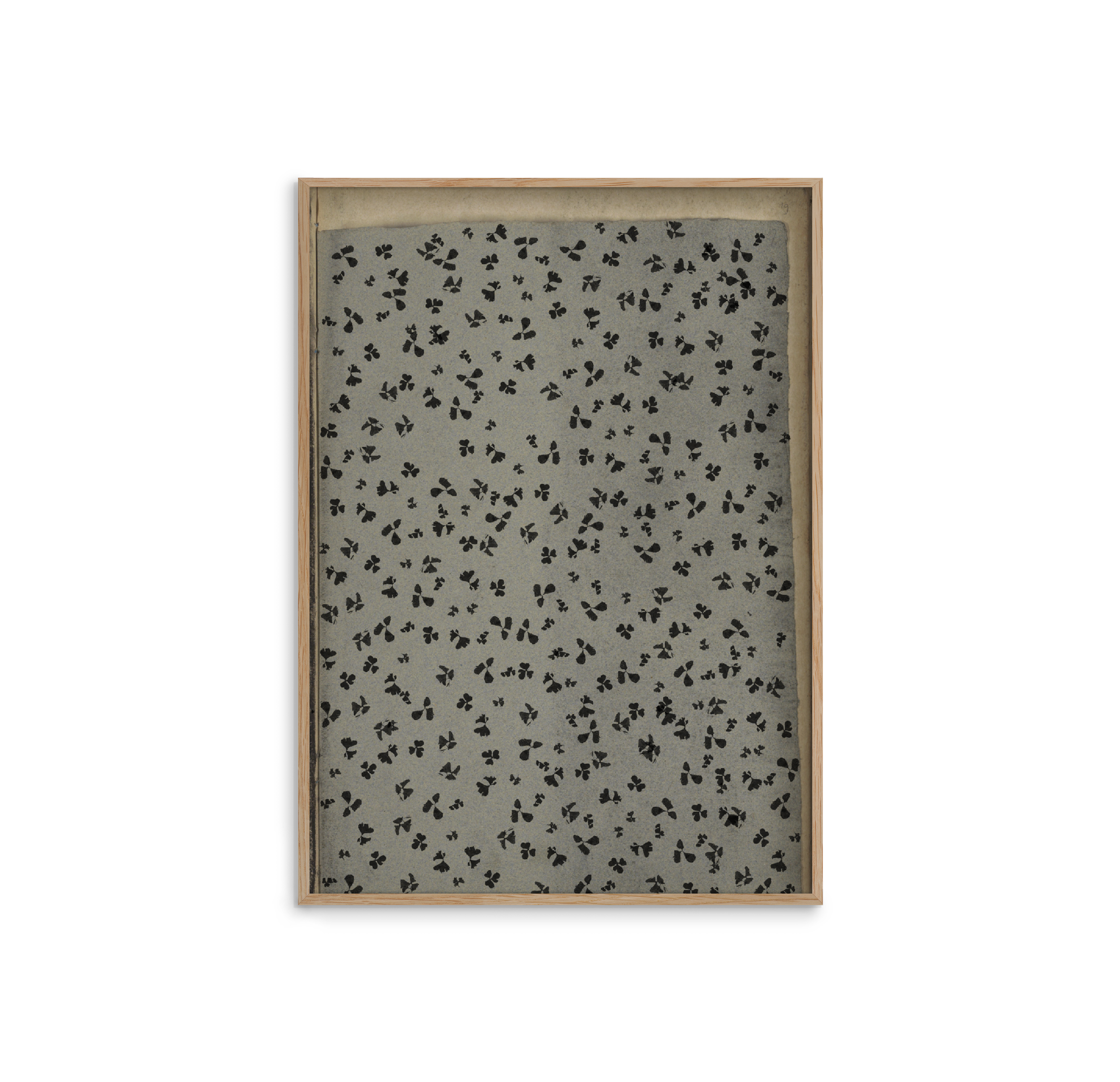 FPPLC0369.png