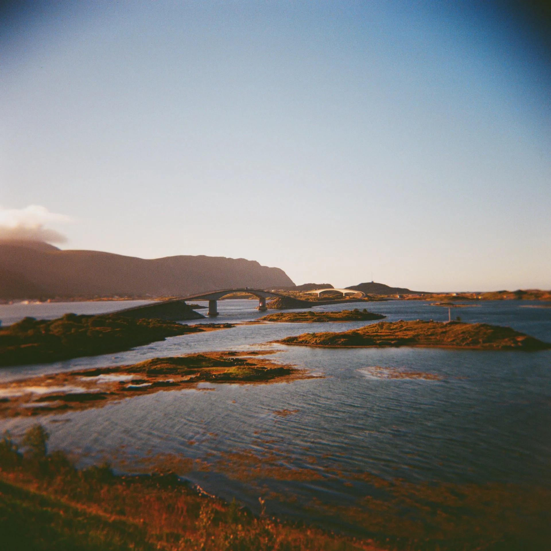 Kodak Gold 120
Norway 2025