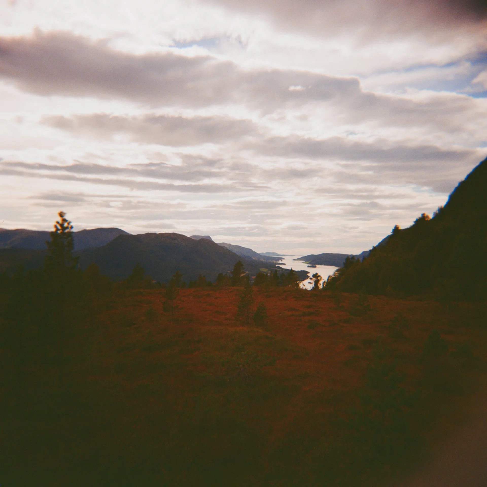 Kodak Gold 120
Norway 2025