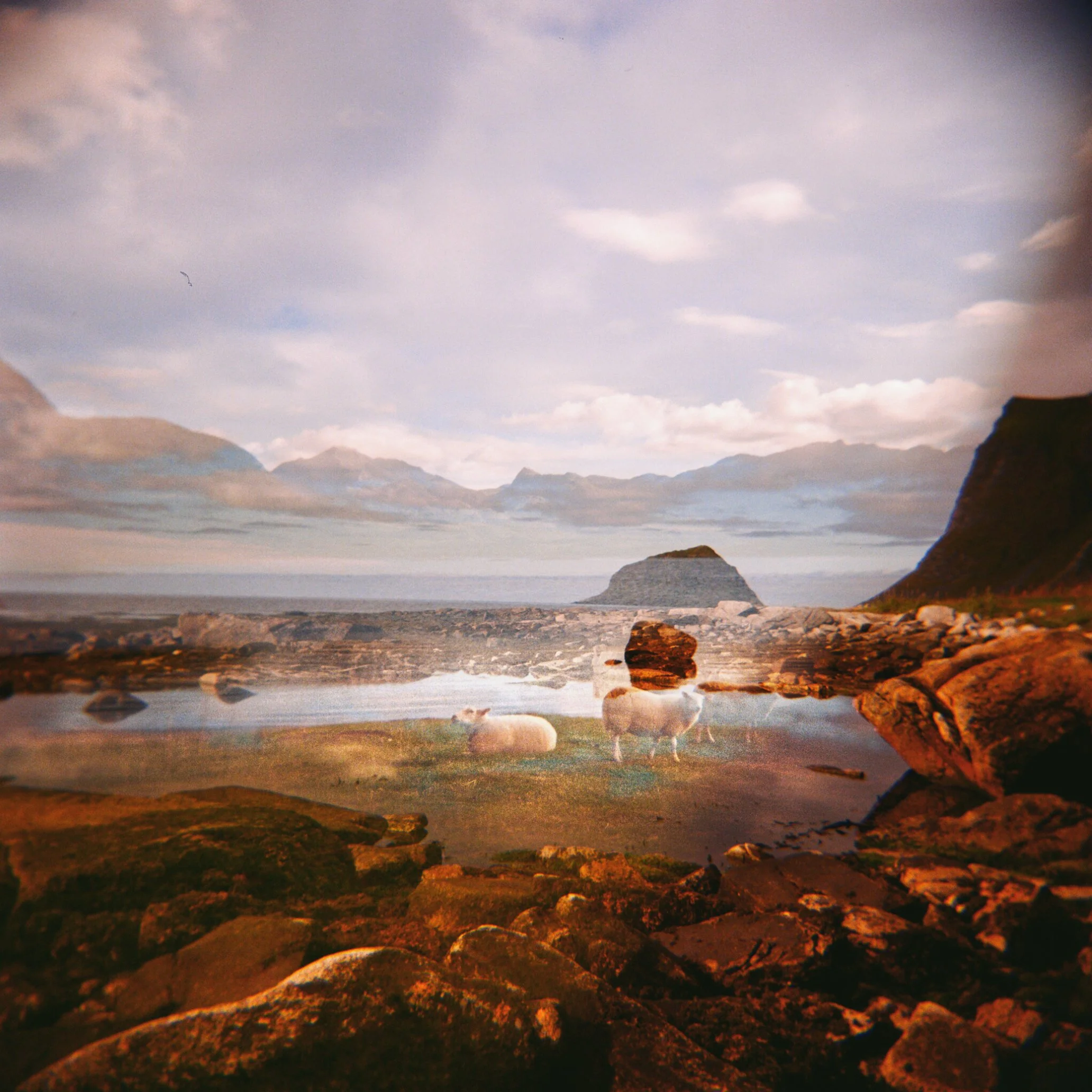 lofoten3.jpg