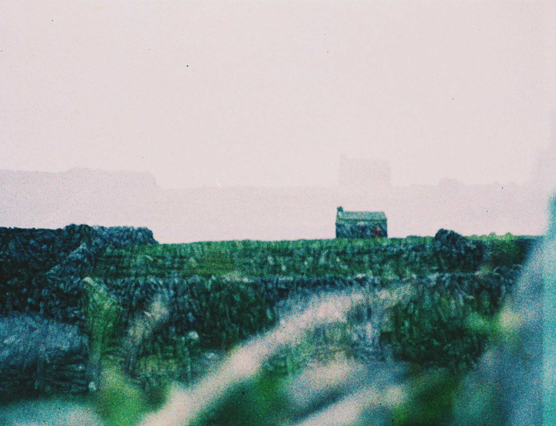 LomoChrome Metropolis 110
Ireland 2026