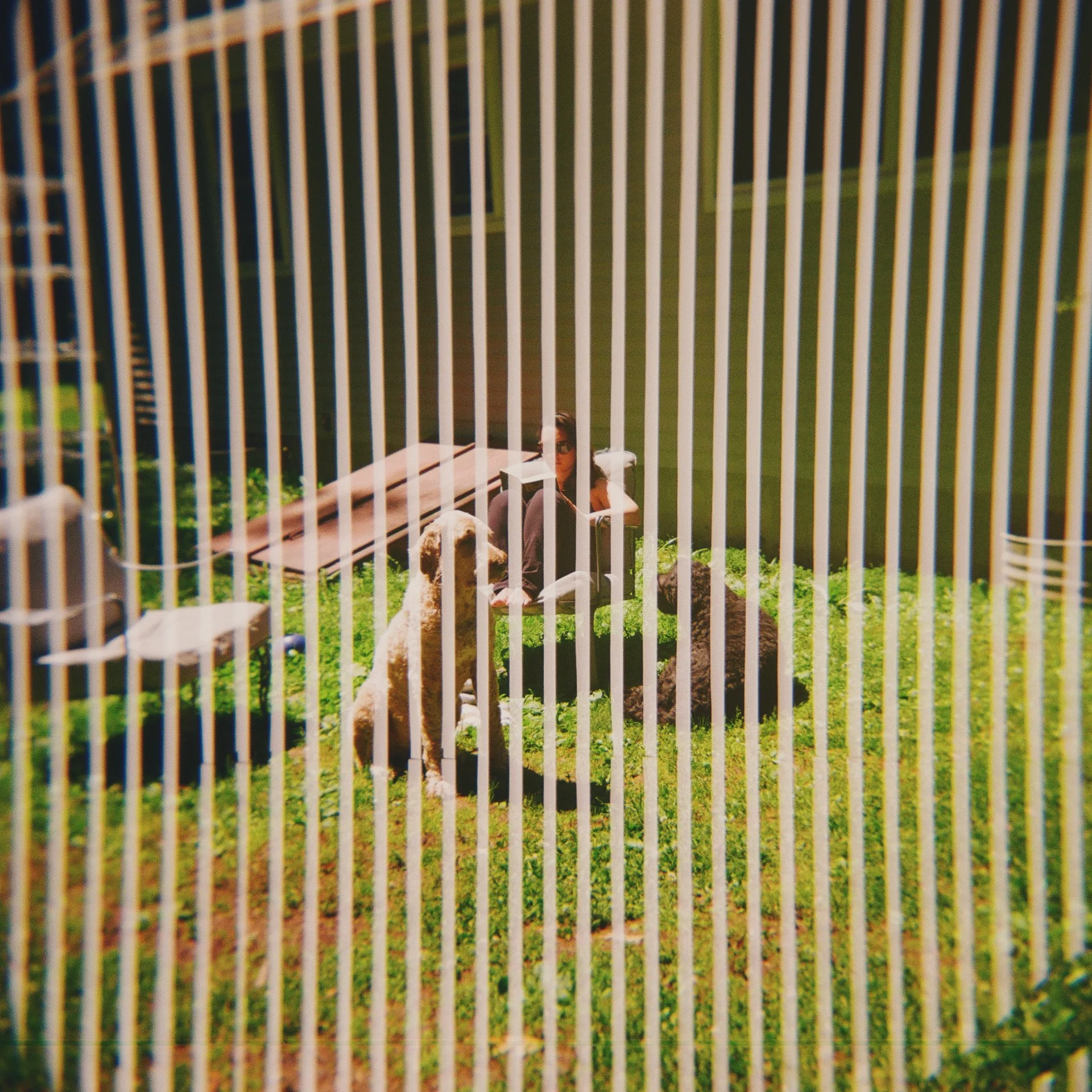 Kodak Gold 120
US 2026