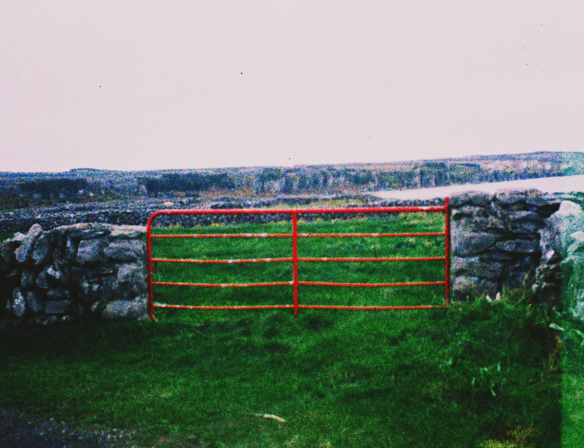 LomoChrome Metropolis 110
Ireland 2026