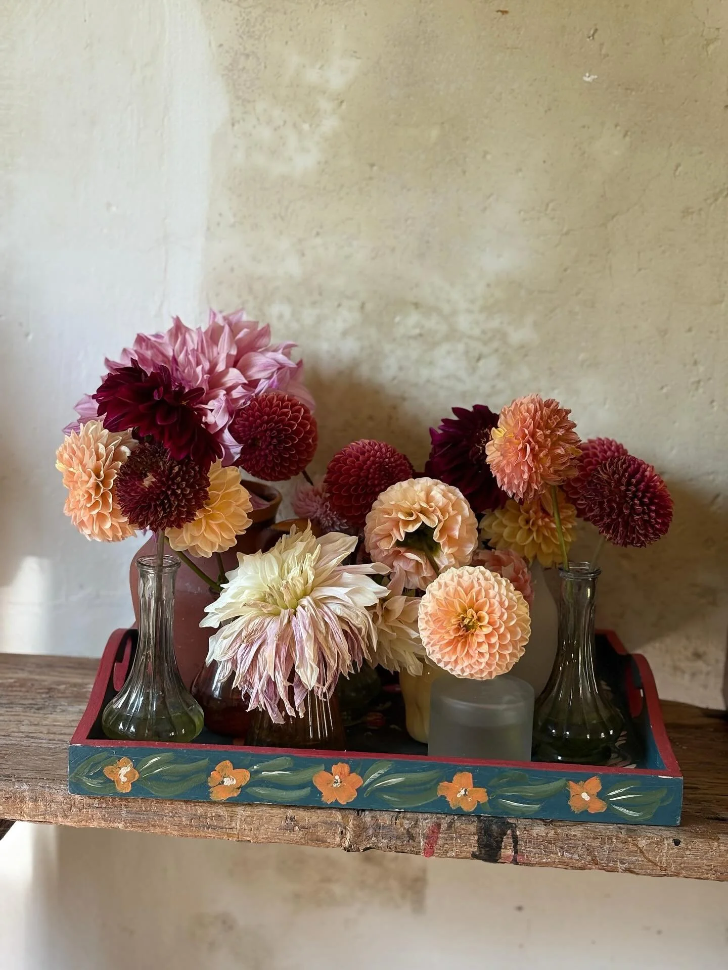 Dahlias on repeat. You can find me in my garden. 🪴 
Photo credit my gorgeous pal Kay @kinship_creative